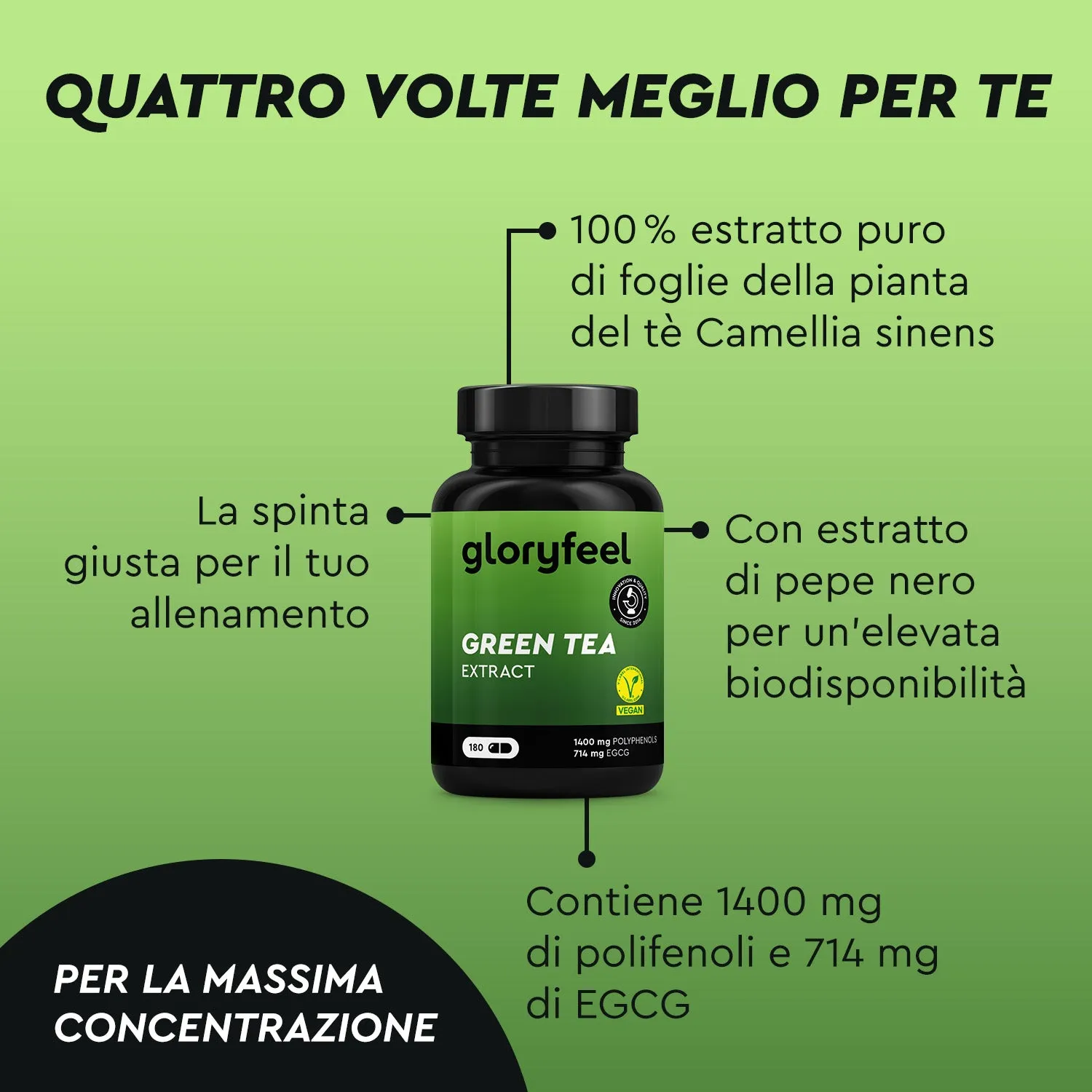 gloryfeel Tè Verde capsule estratto EGCG