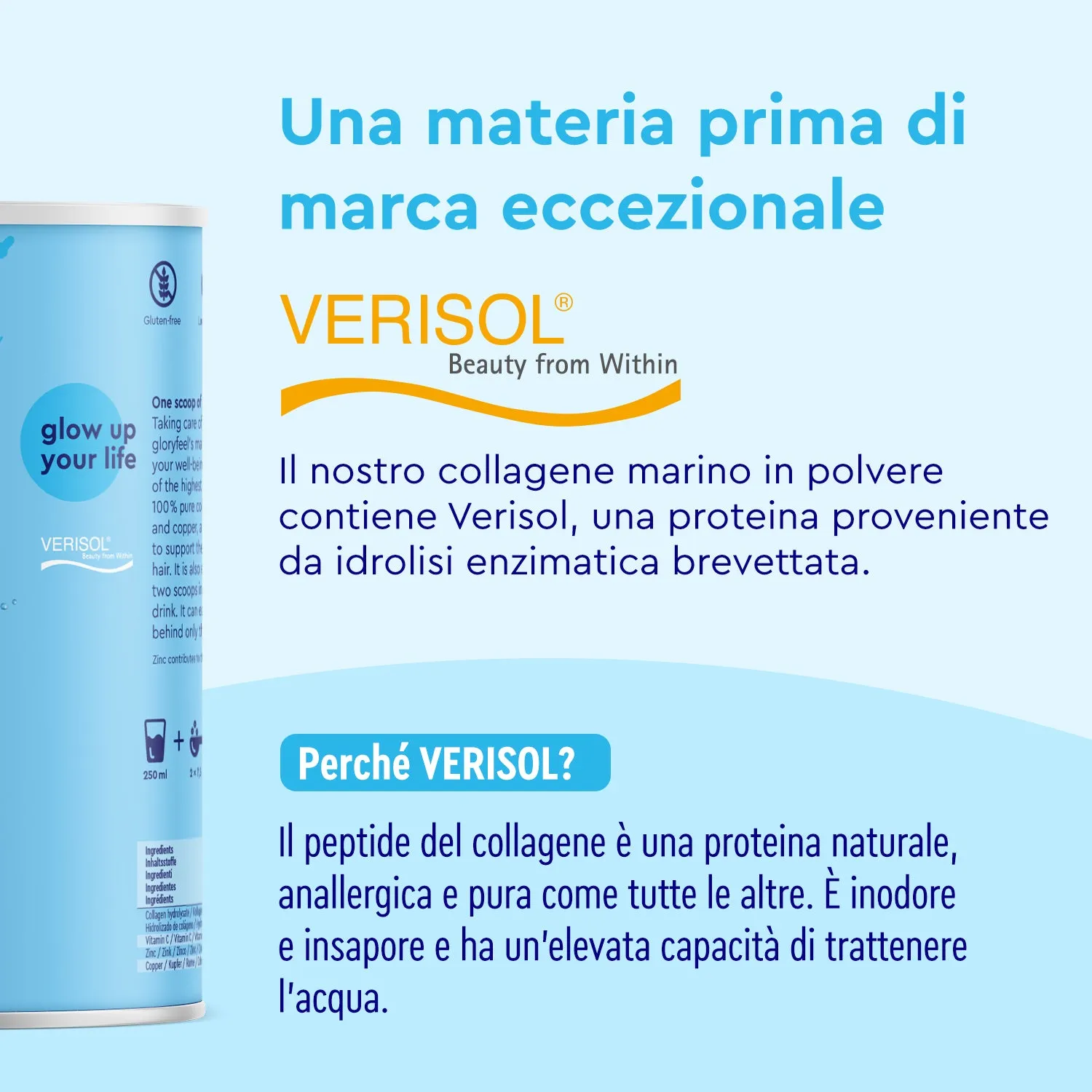 gloryfeel Collagene Marino in polvere VERISOL funzione muscolare
