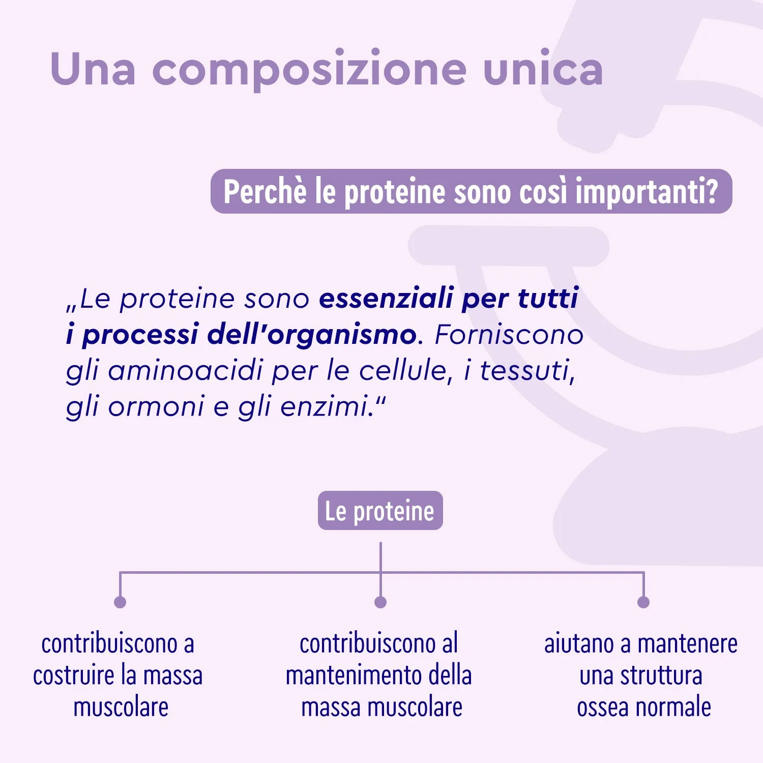 gloryfeel Blueberry Joy Proteine polvere mirtillo