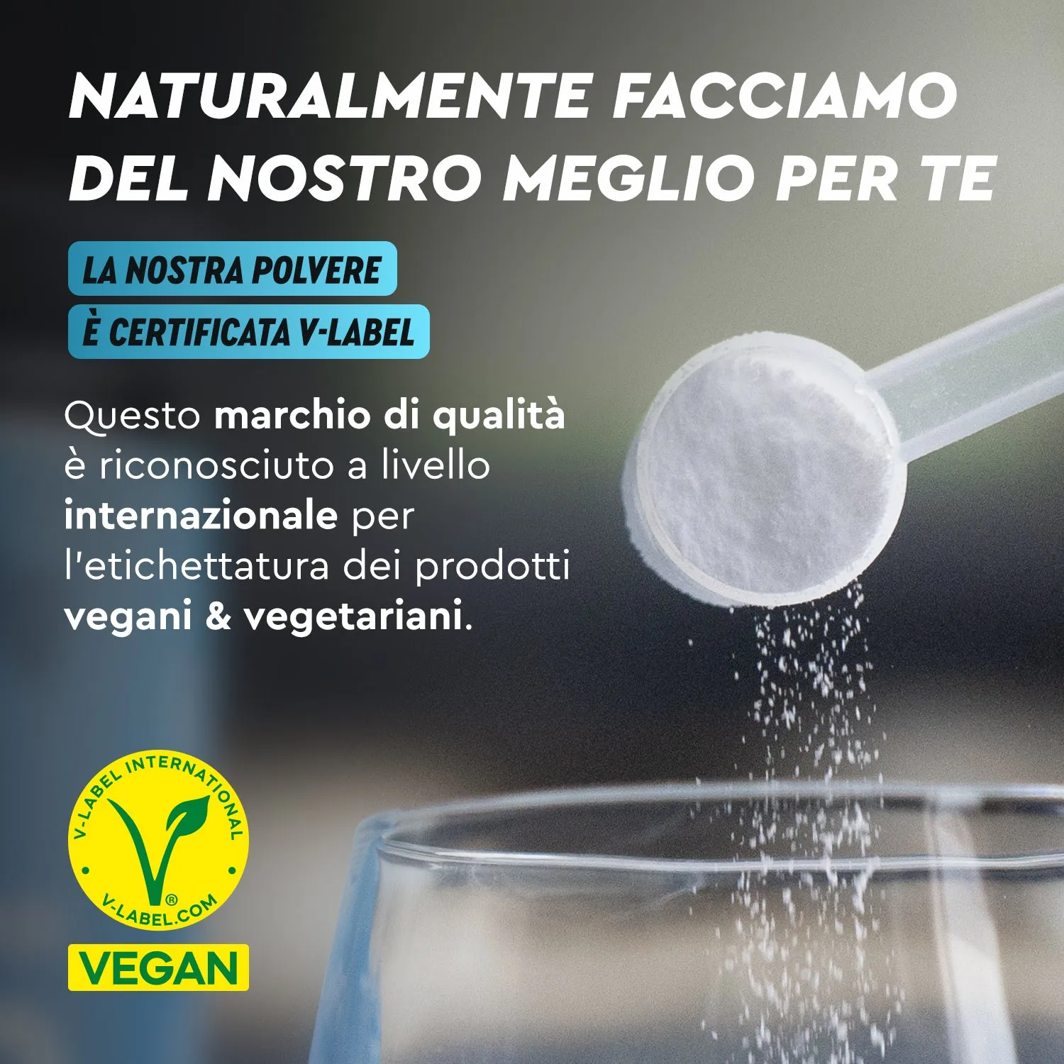 gloryfeel Creatina Creapure polvere monoidrato pura senza lattosio