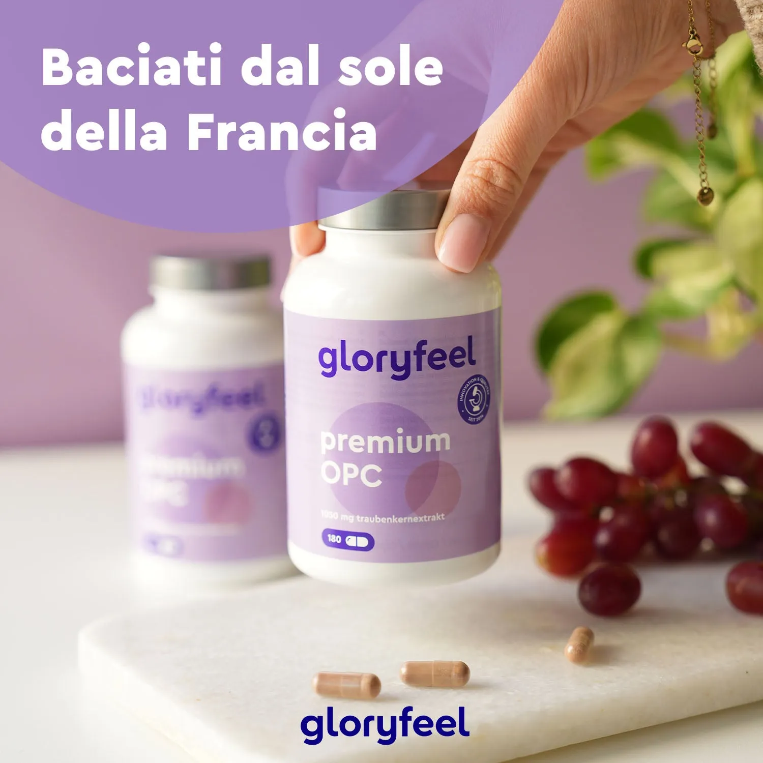 gloryfeel OPC Premium 180 capsule estratto semi uva