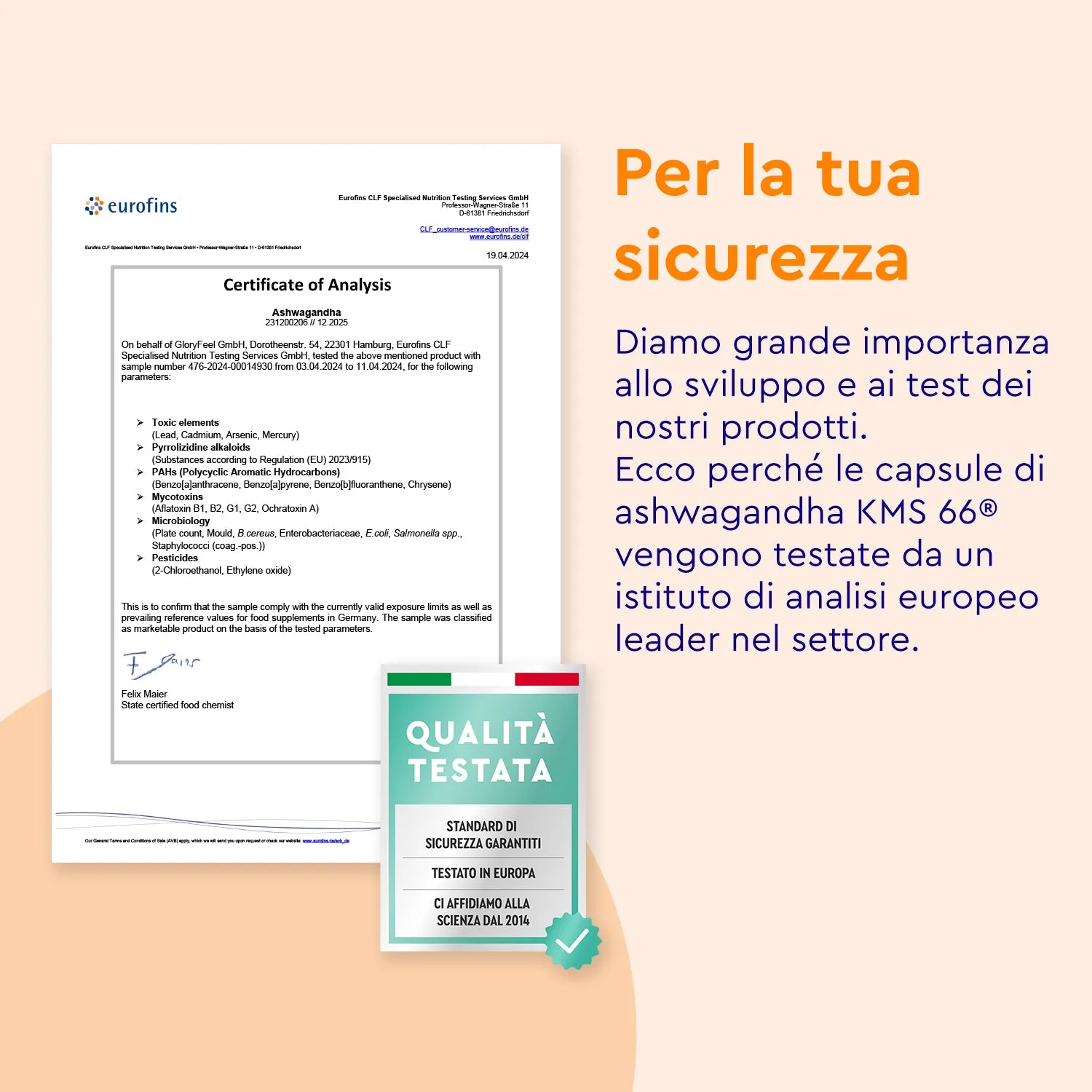 gloryfeel Ashwagandha KSM-66 capsule estratto radice
