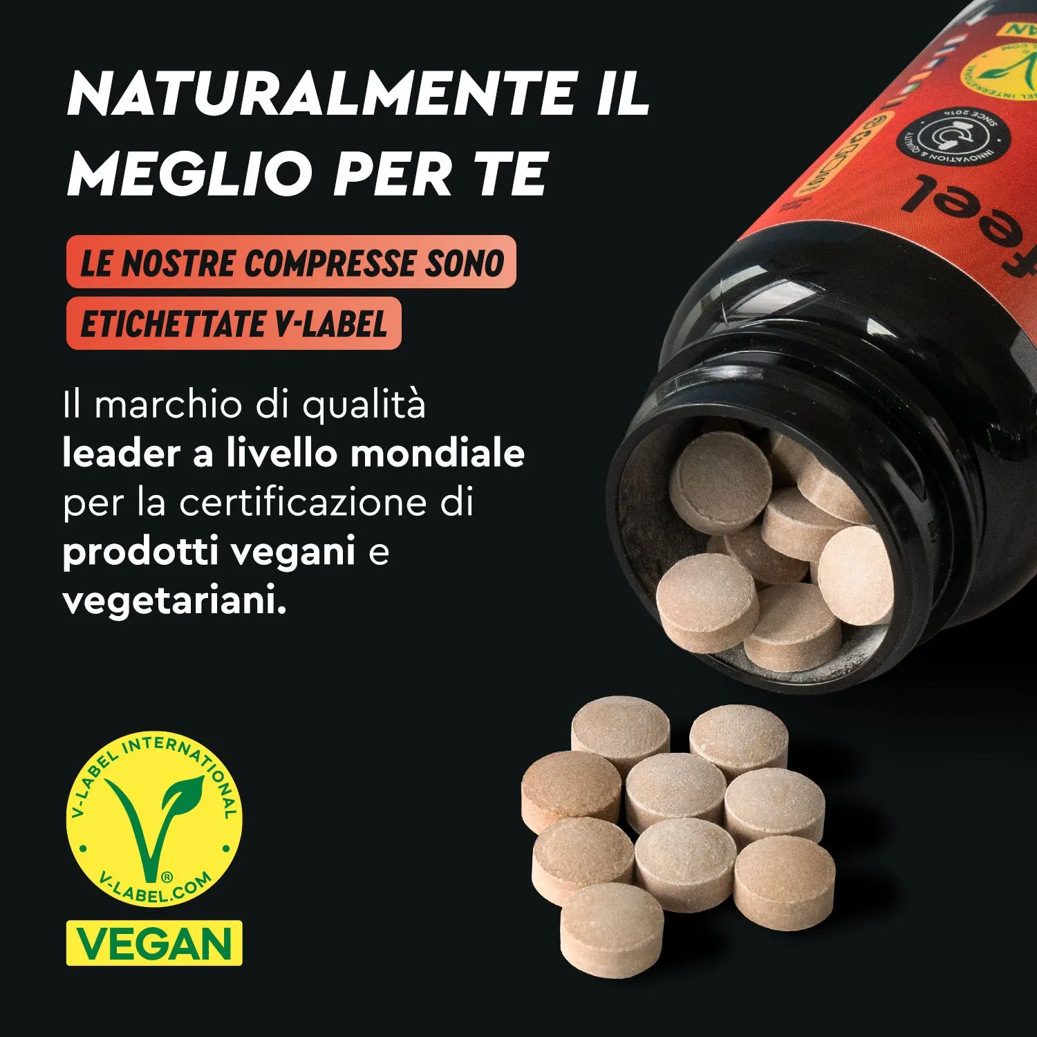 gloryfeel Caffeina + L-Teanina capsule focus tè verde