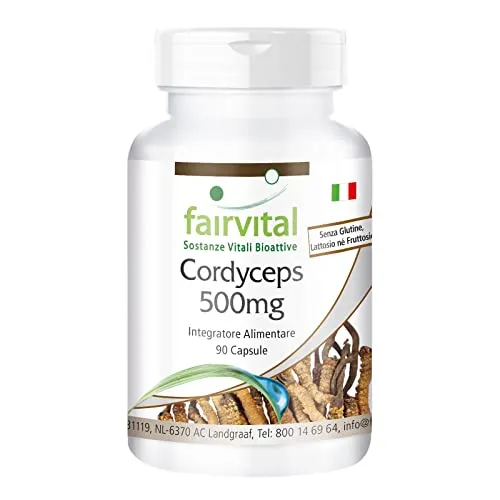 Fairvital Cordyceps 500 mg capsule 90 pezzi alto dosaggio