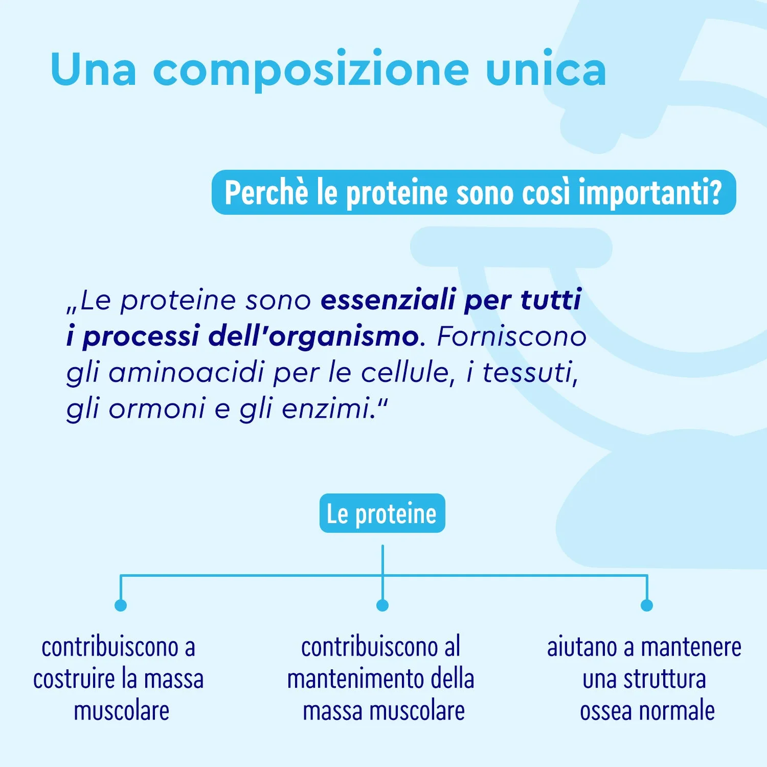 gloryfeel Proteine Cookies Cream polvere vegana