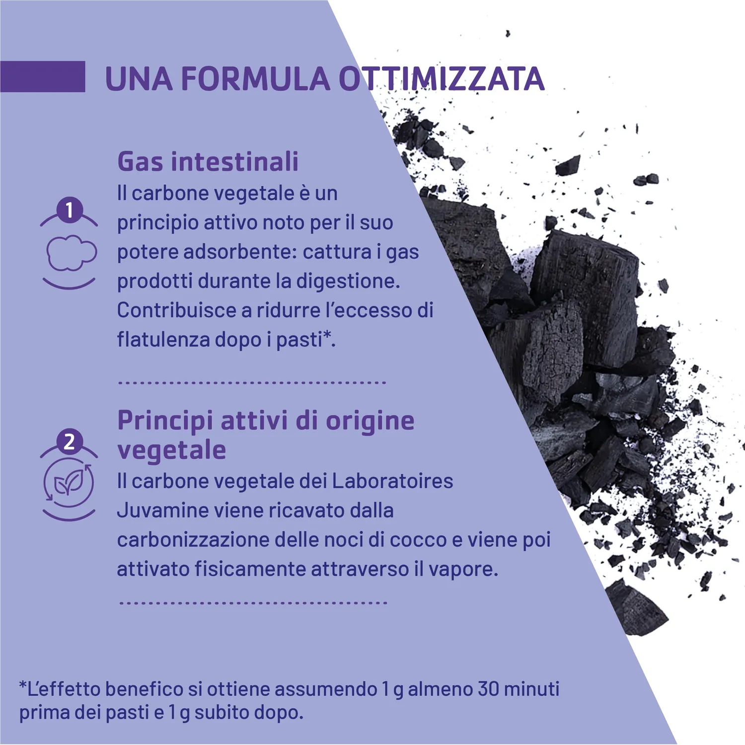 Juvamine Carbone Vegetale 1000 mg capsule 120 capsule
