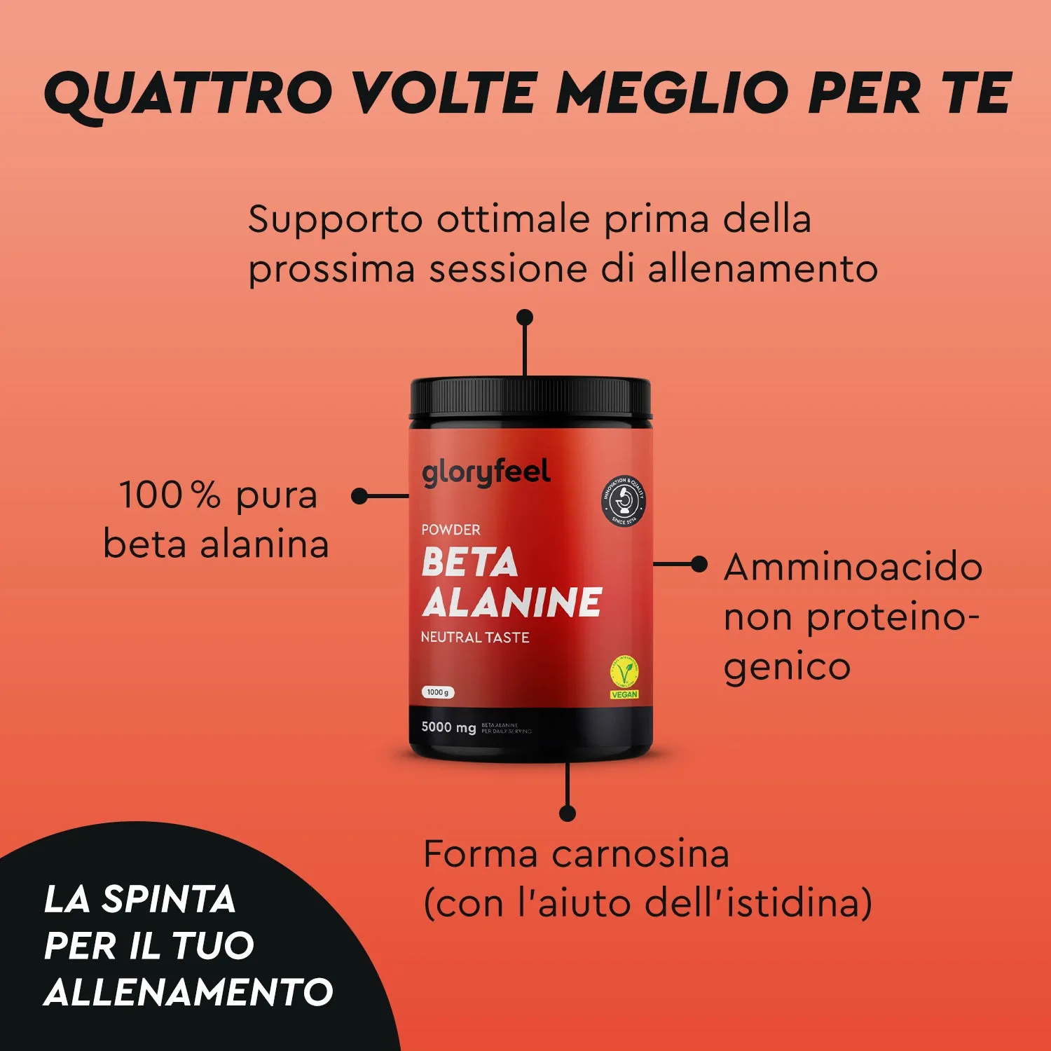 gloryfeel Beta Alanina pura capsule sport senza lattosio