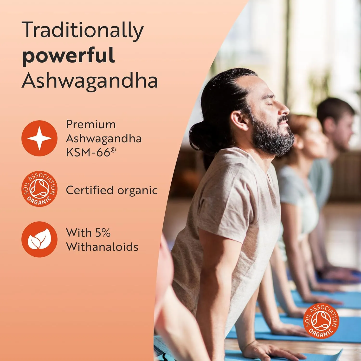 Nutravita Ashwagandha Bio KSM66 500mg capsule 60 bio