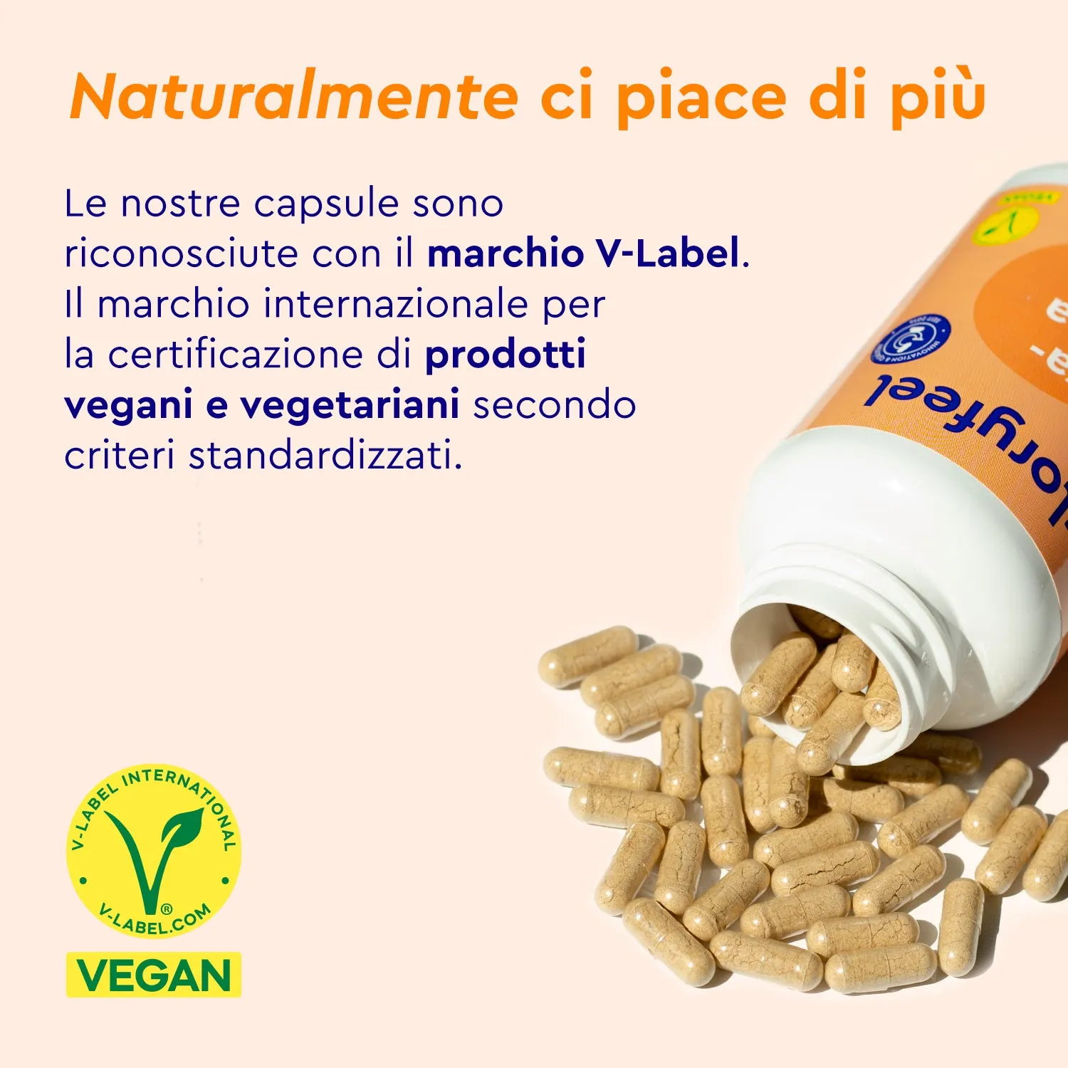 gloryfeel Ashwagandha KSM-66 capsule estratto radice