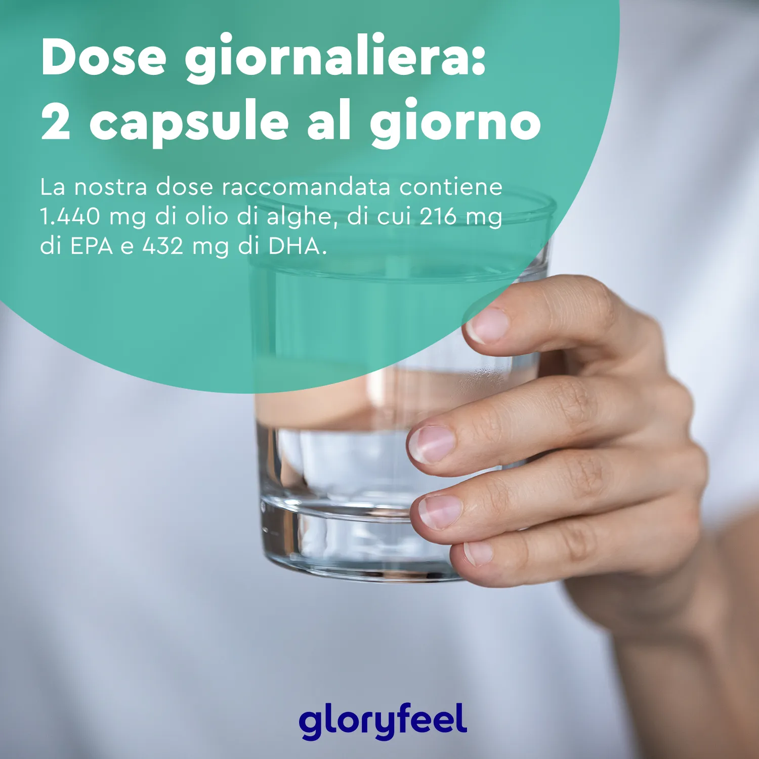 gloryfeel Omega 3 Vegan capsule 60 softgel EPA DHA