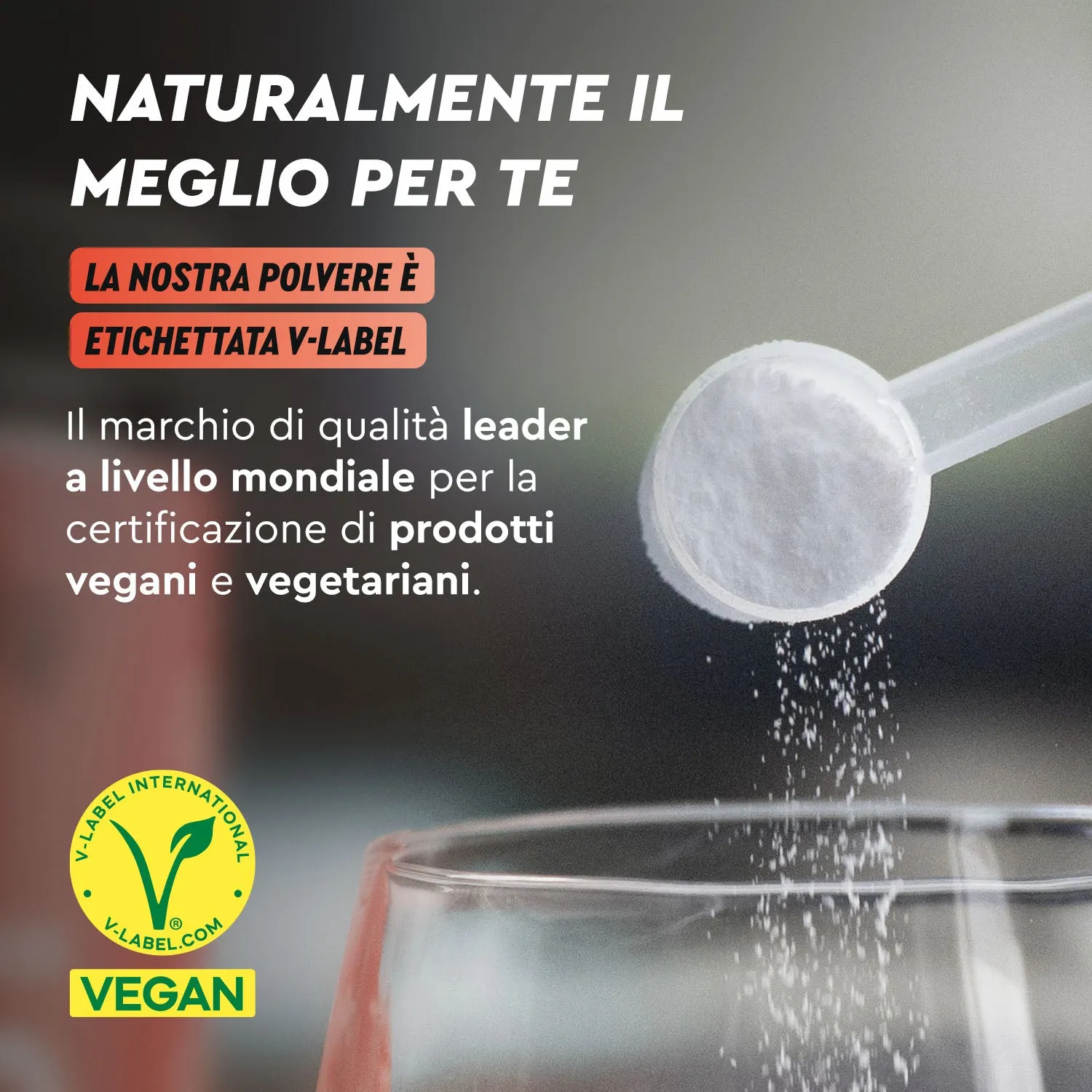 gloryfeel L-Citrullina in Polvere Malato senza glutine