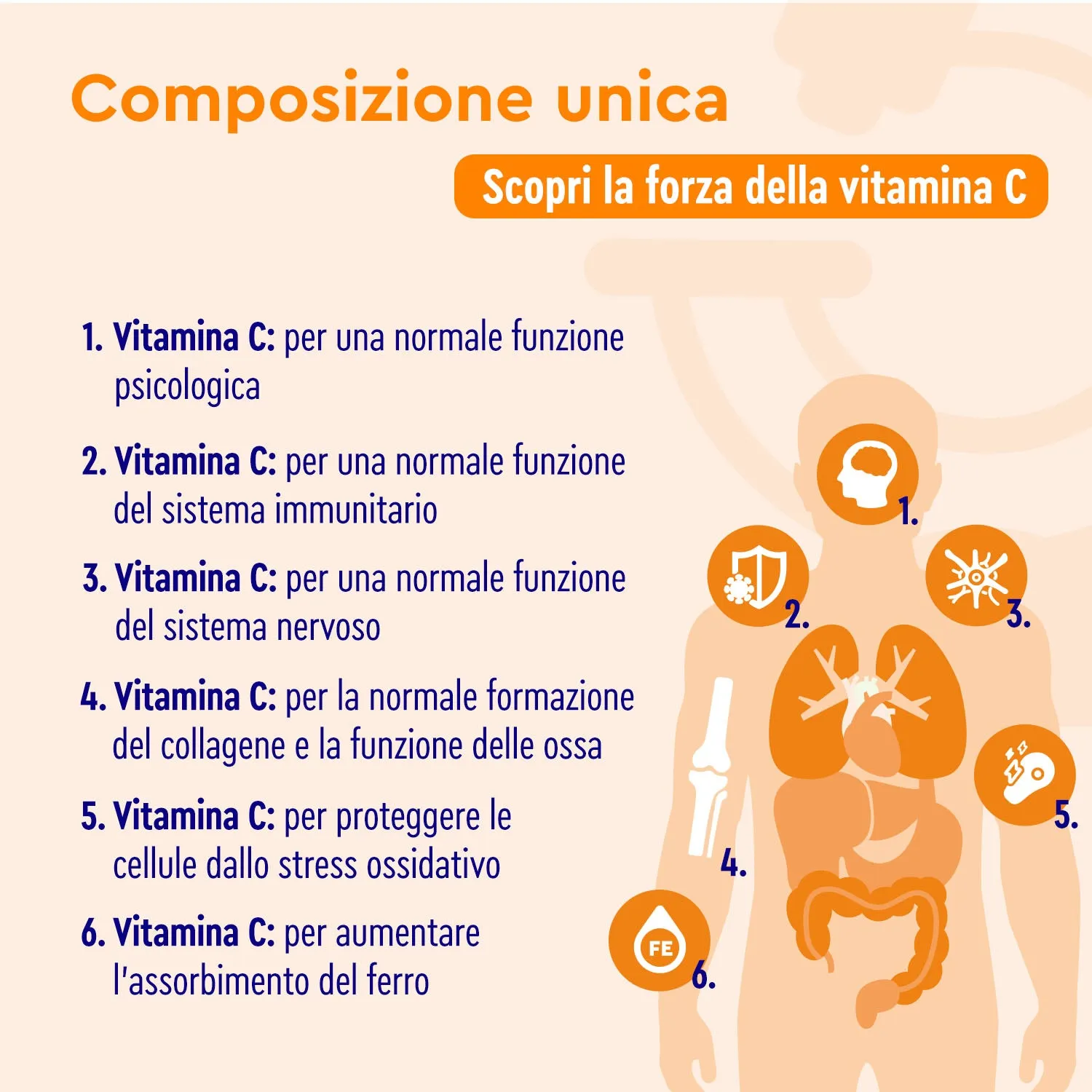 gloryfeel Vitamina C Naturale capsule acerola stanchezza