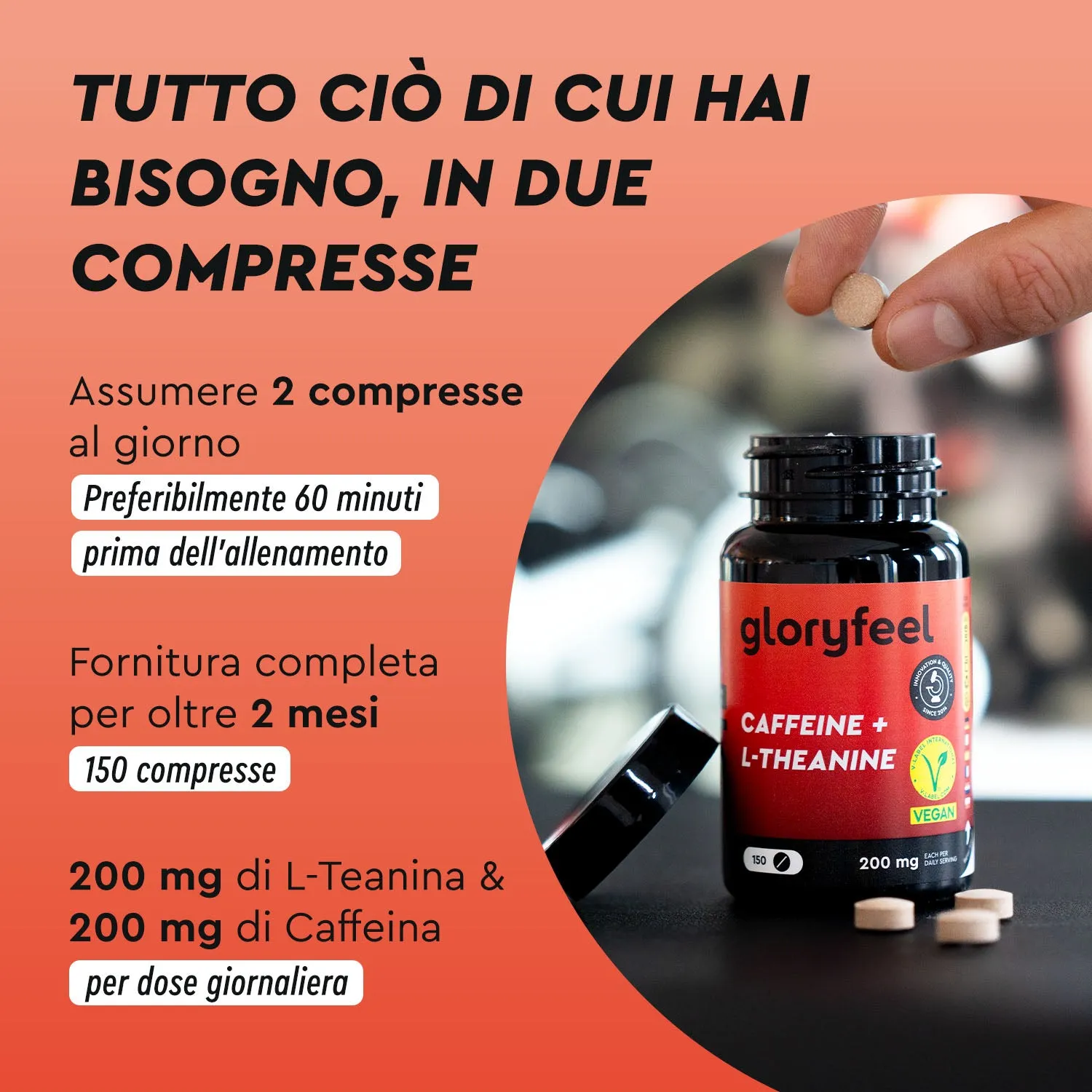 gloryfeel Caffeina + L-Teanina capsule focus tè verde