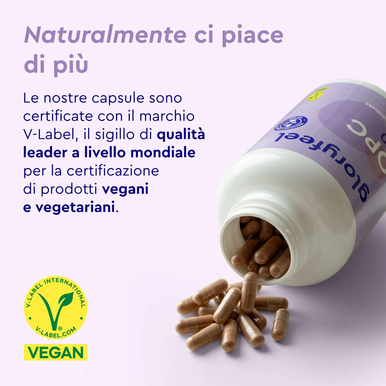gloryfeel OPC 180 capsule 1000 mg con vitamina C