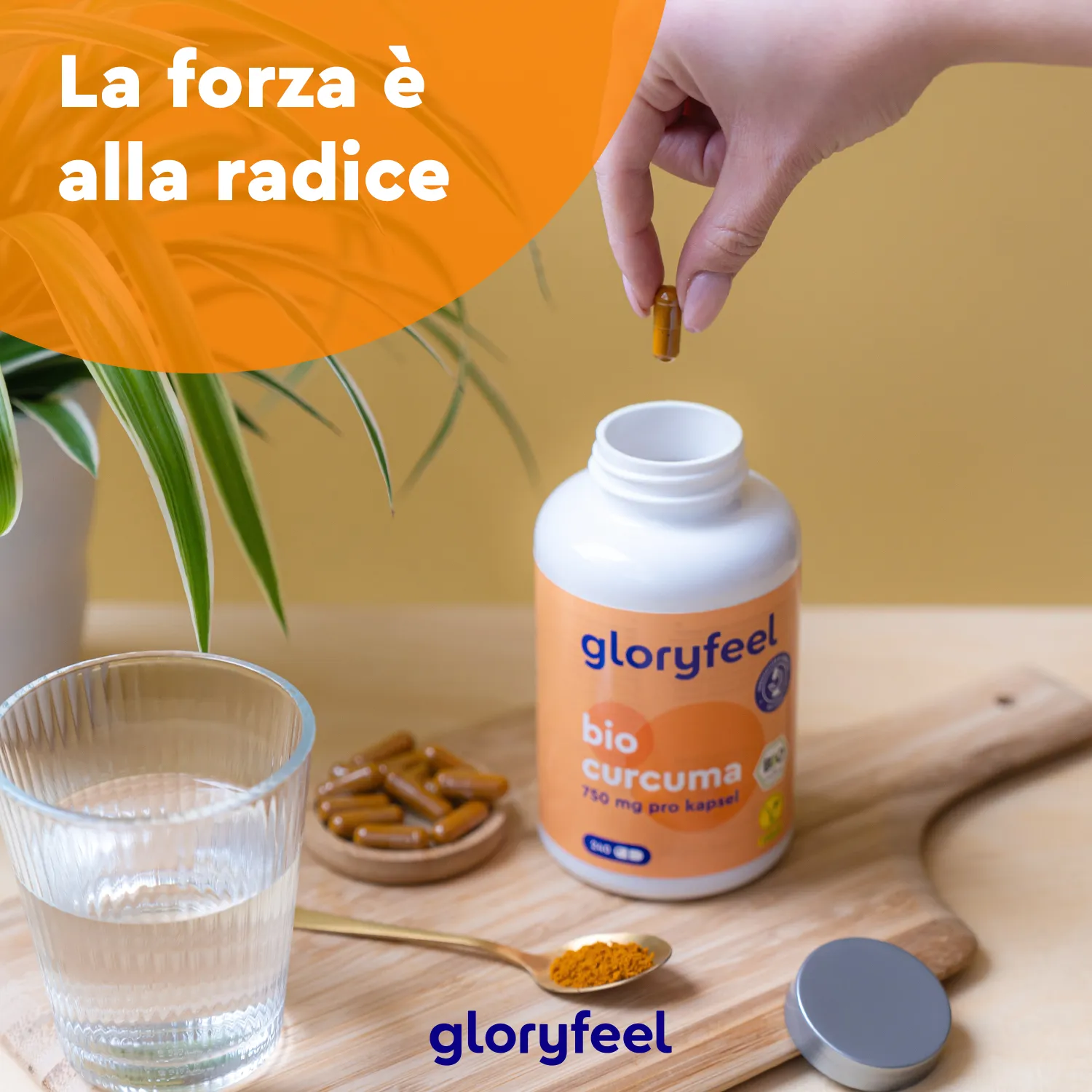 gloryfeel Bio Curcuma capsule 240 pezzi con pepe