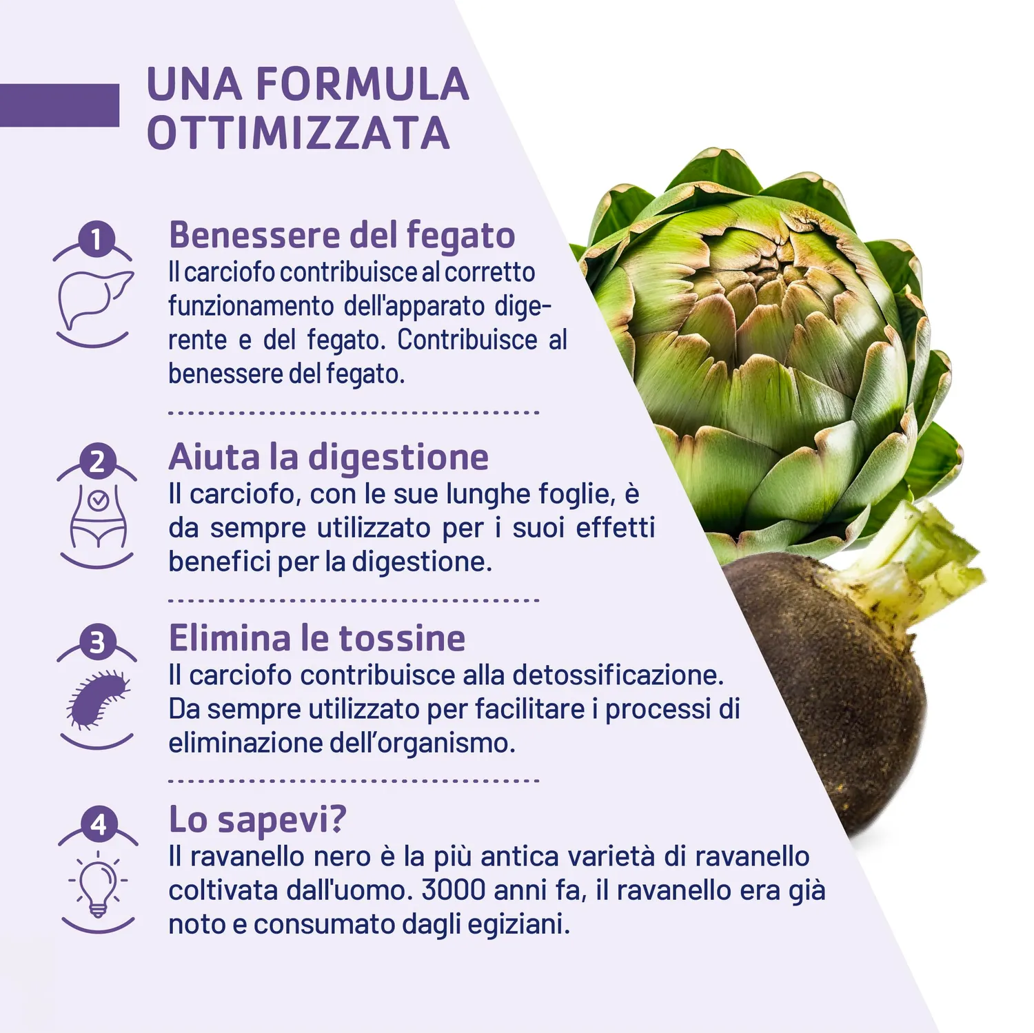 Juvamine Carciofo Ravanello Nero capsule 2 mesi detox