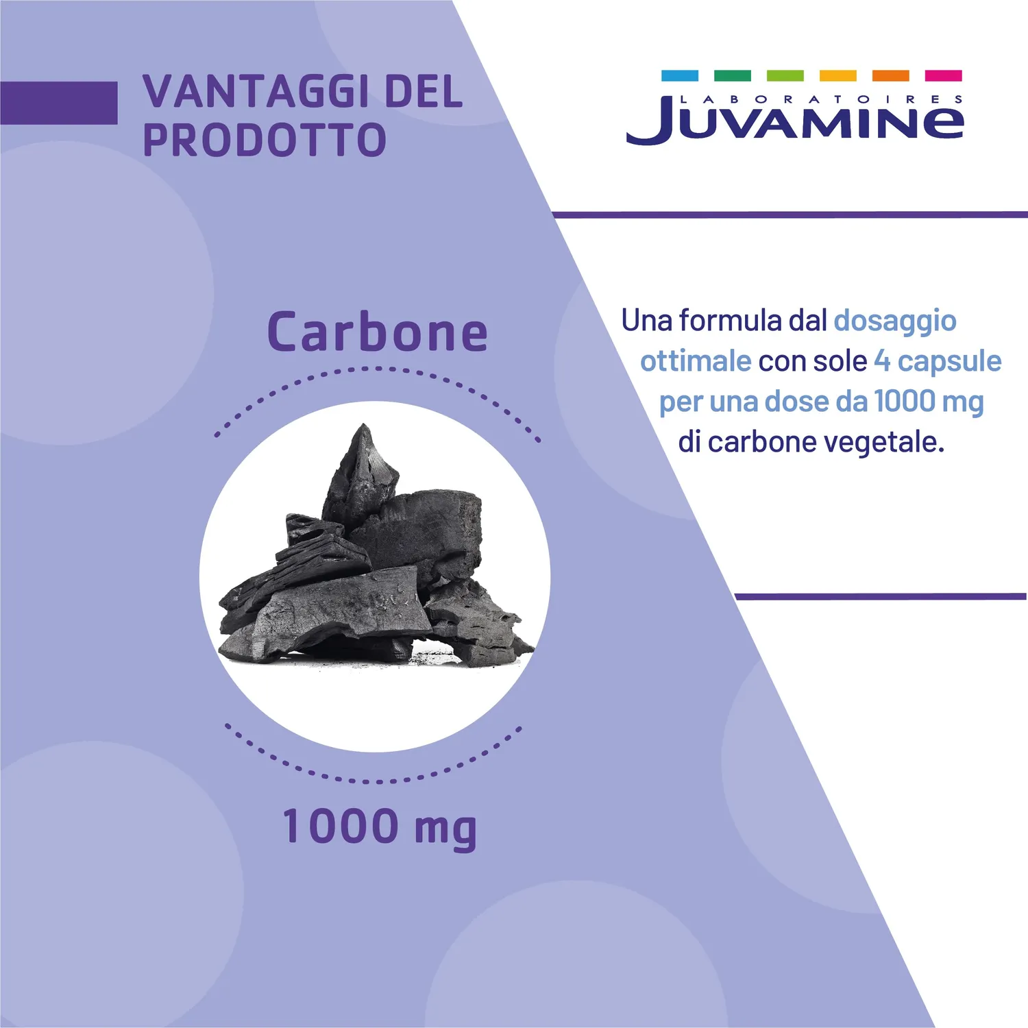 Juvamine Carbone Vegetale 1000 mg capsule 120 capsule