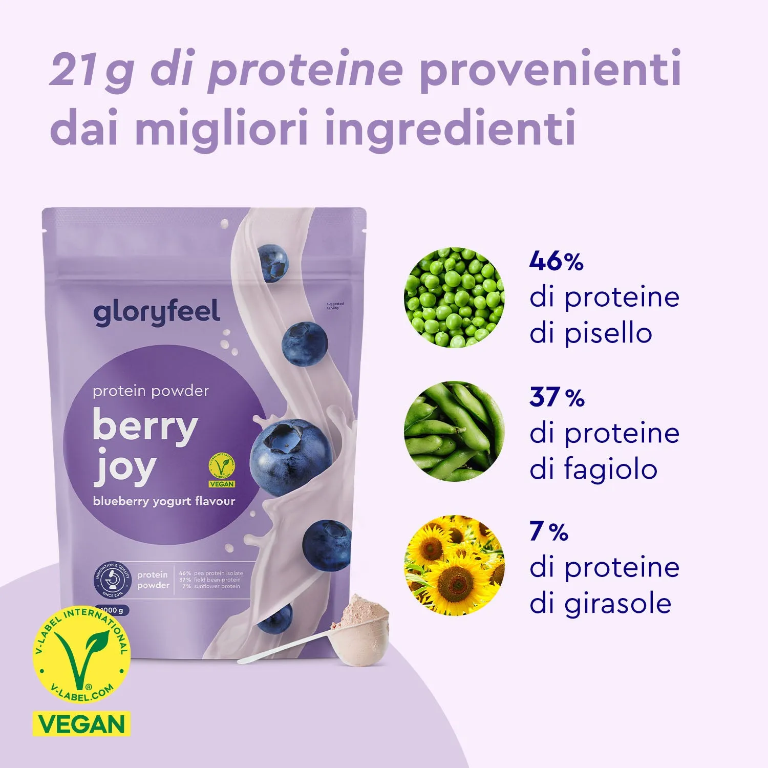 gloryfeel Blueberry Joy Proteine polvere mirtillo