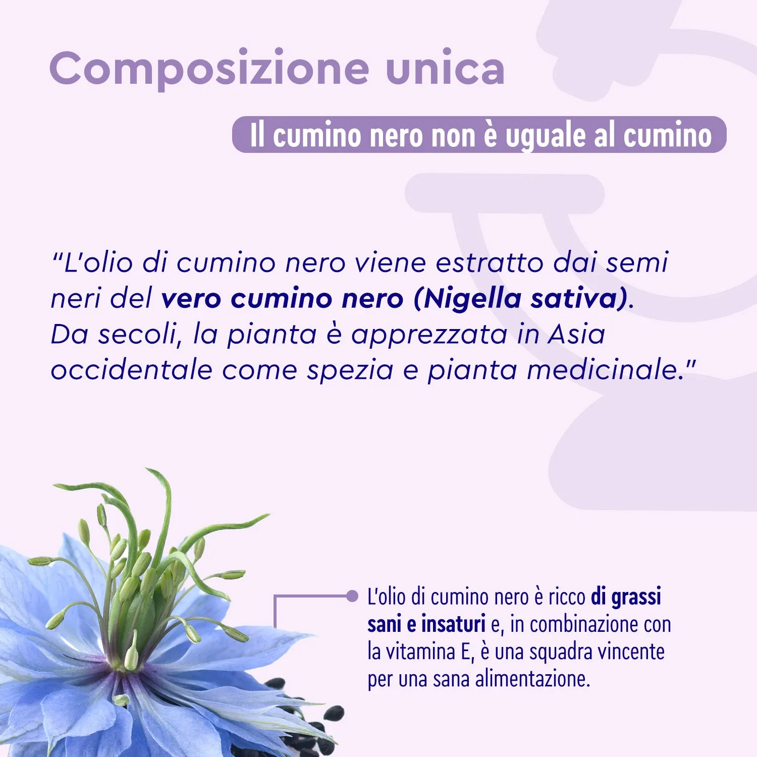 Gloryfeel Olio di Cumino Nero capsule con vitamina E