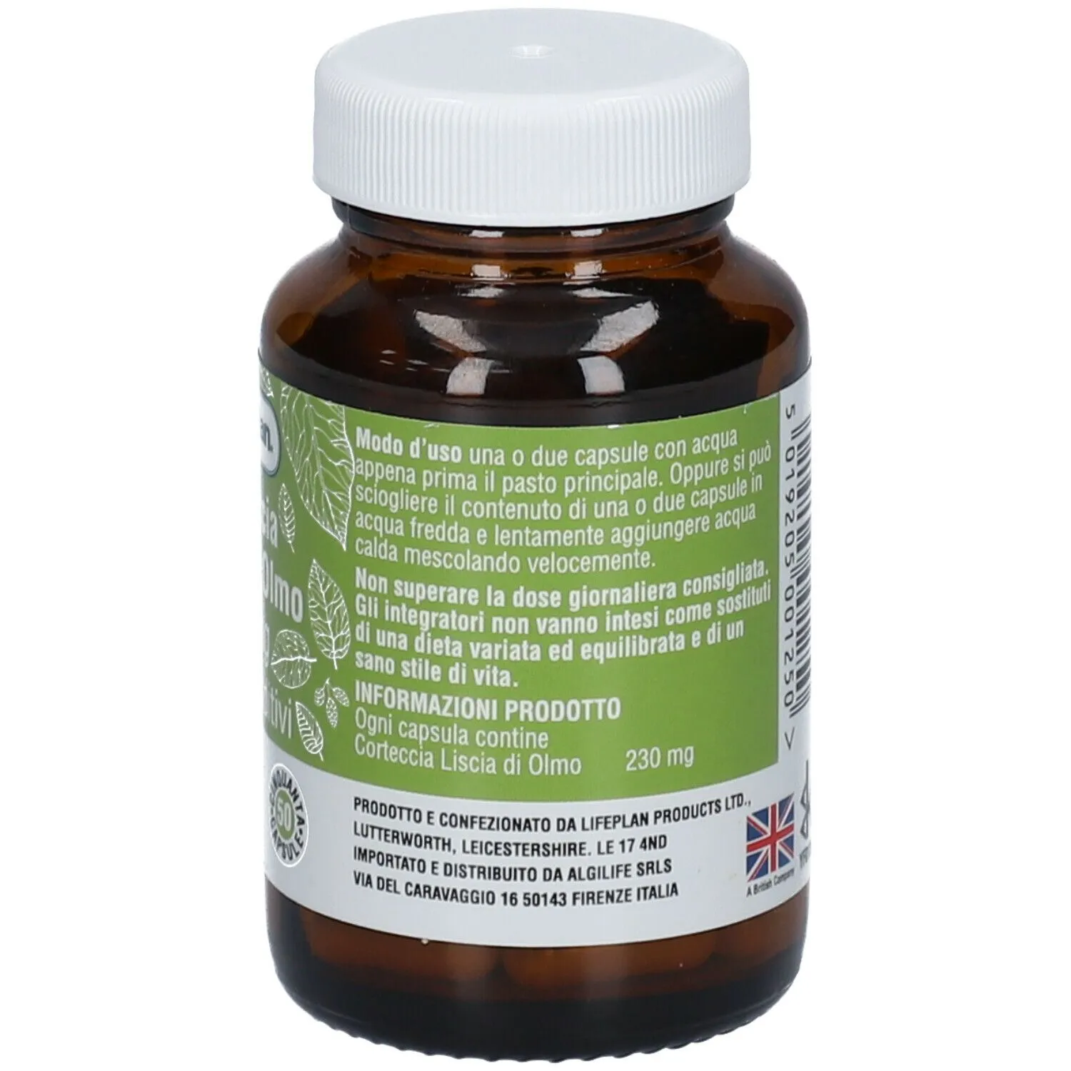 Algilife Corteccia Olmo capsule 50 capsule mucose