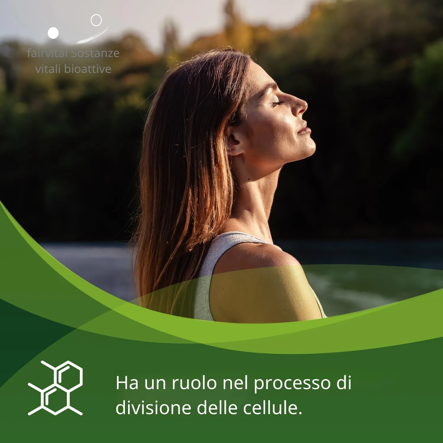 Fairvital Berberina 500 mg Capsule 90 con zinco