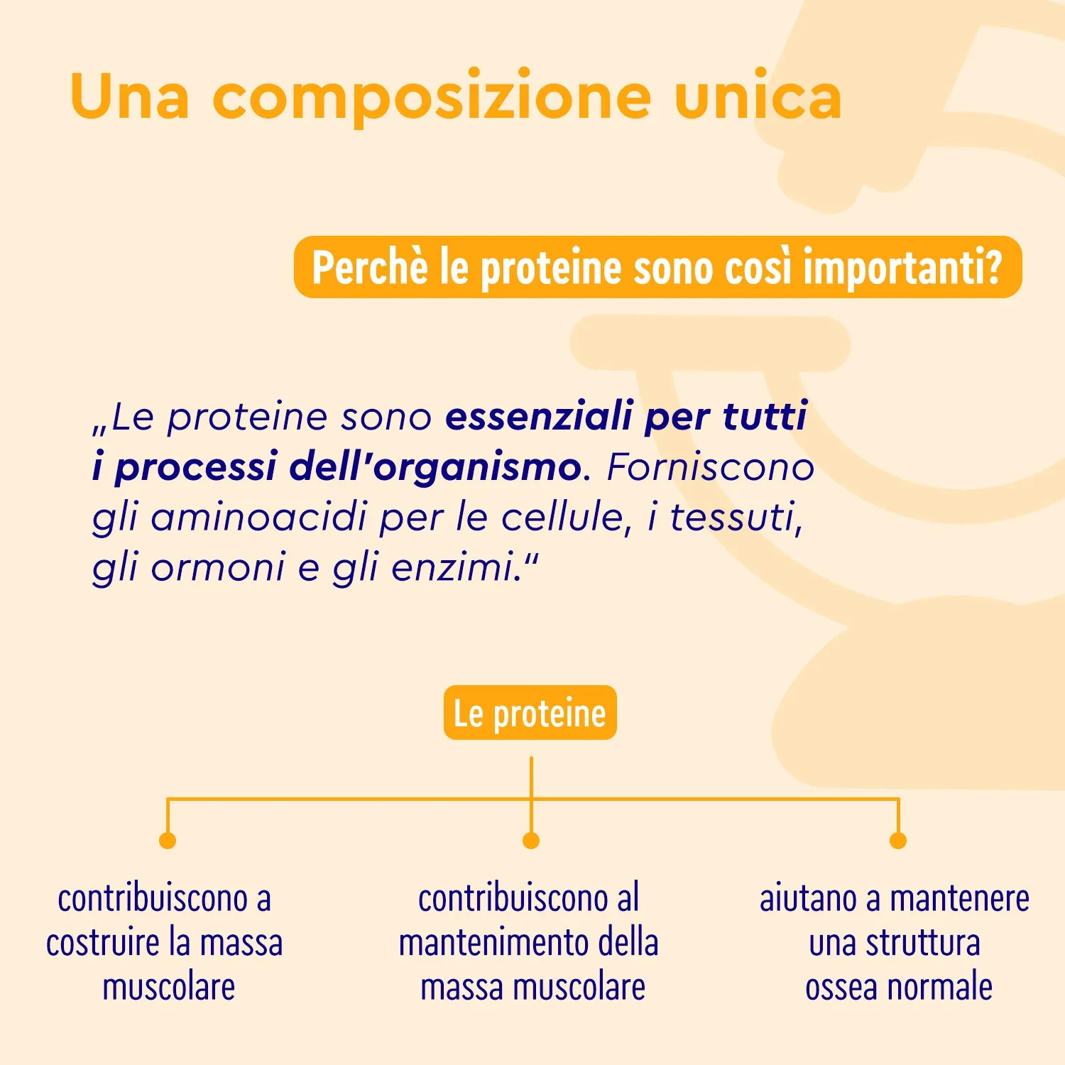 Gloryfeel Vanilla Joy proteine polvere vegane gusto vaniglia