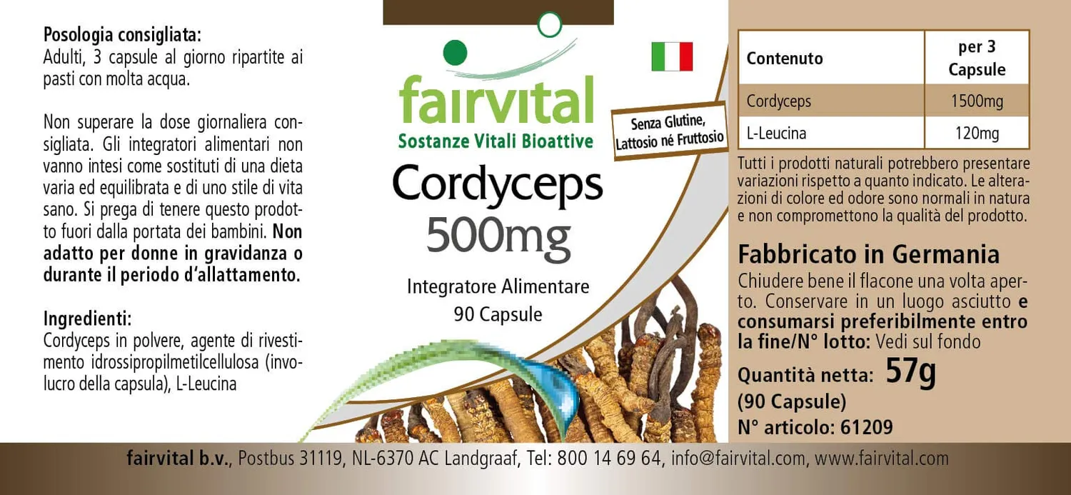 Fairvital Cordyceps 500 mg capsule 90 pezzi alto dosaggio