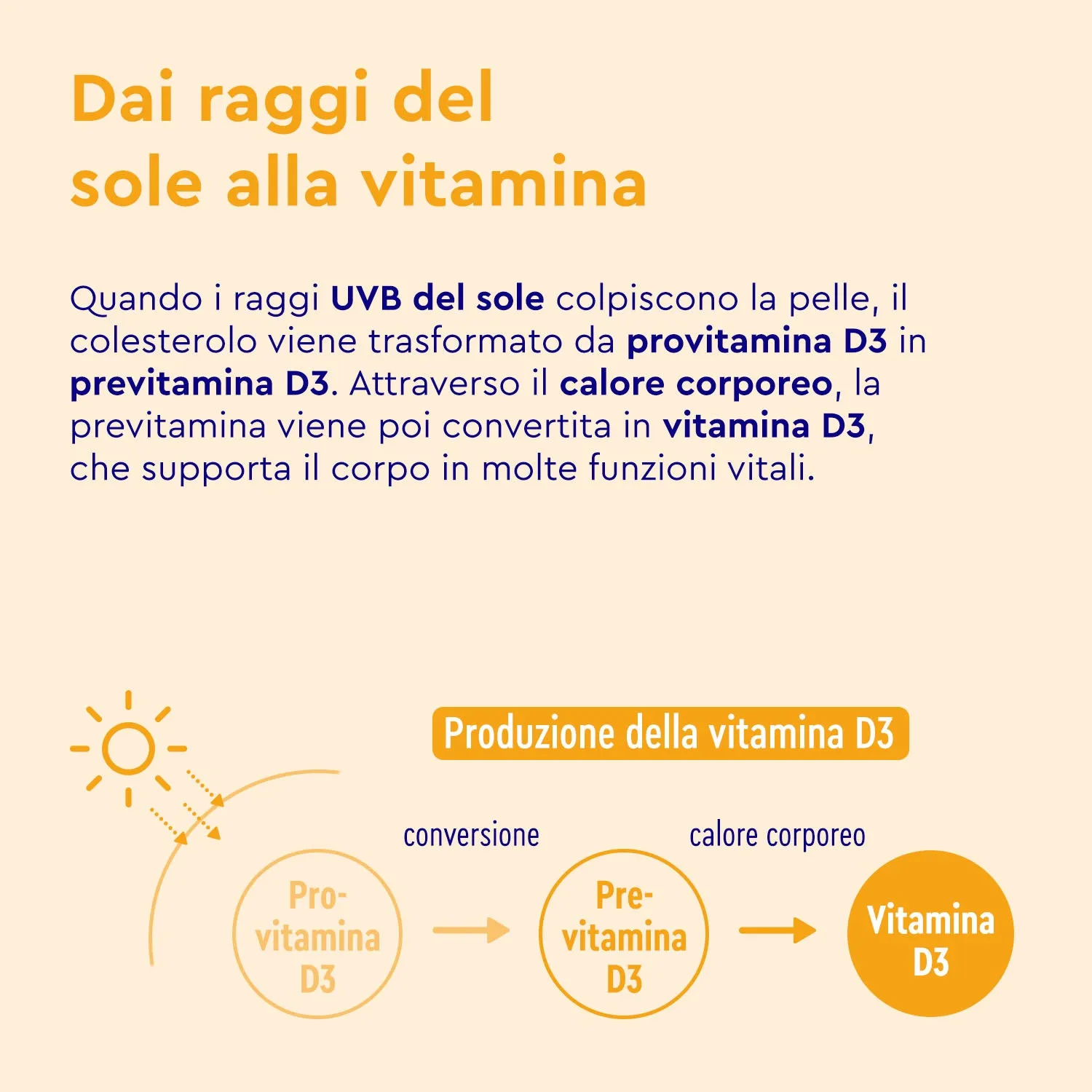 Gloryfeel Vitamina D3 1000 U.I. compresse vegetariane
