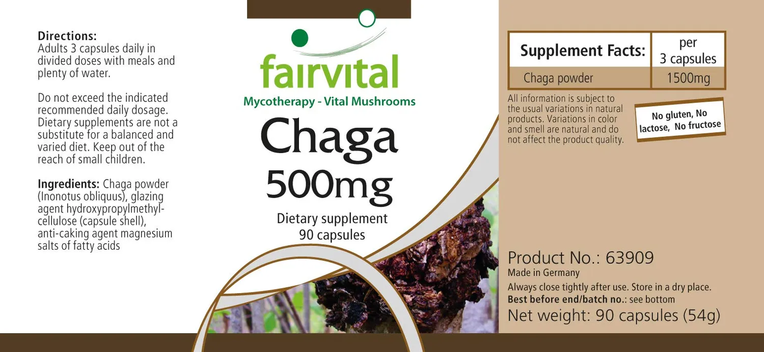 Fairvital Chaga 500 mg capsule 90 capsule vegane