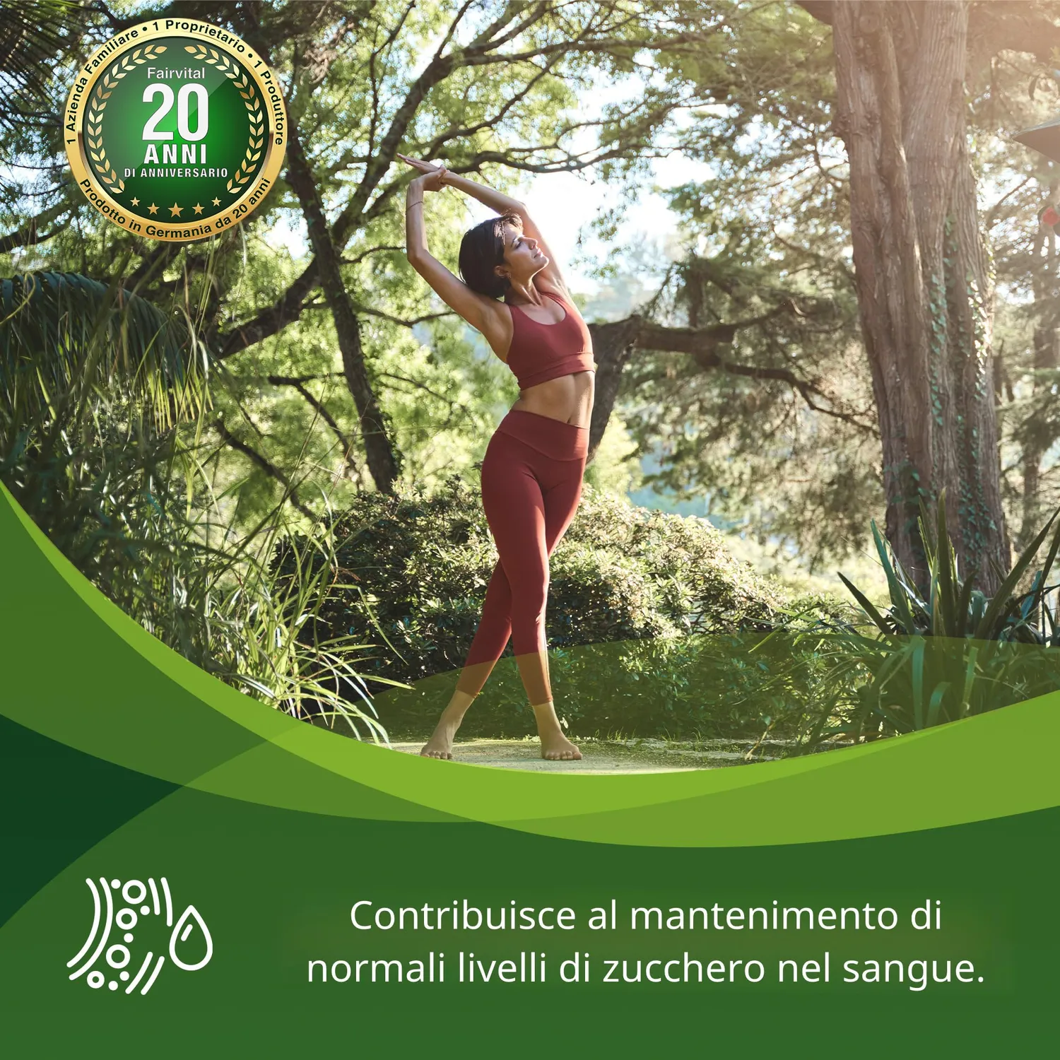 Fairvital Cannella Plus Cromo Zinco capsule 90 alto dosaggio