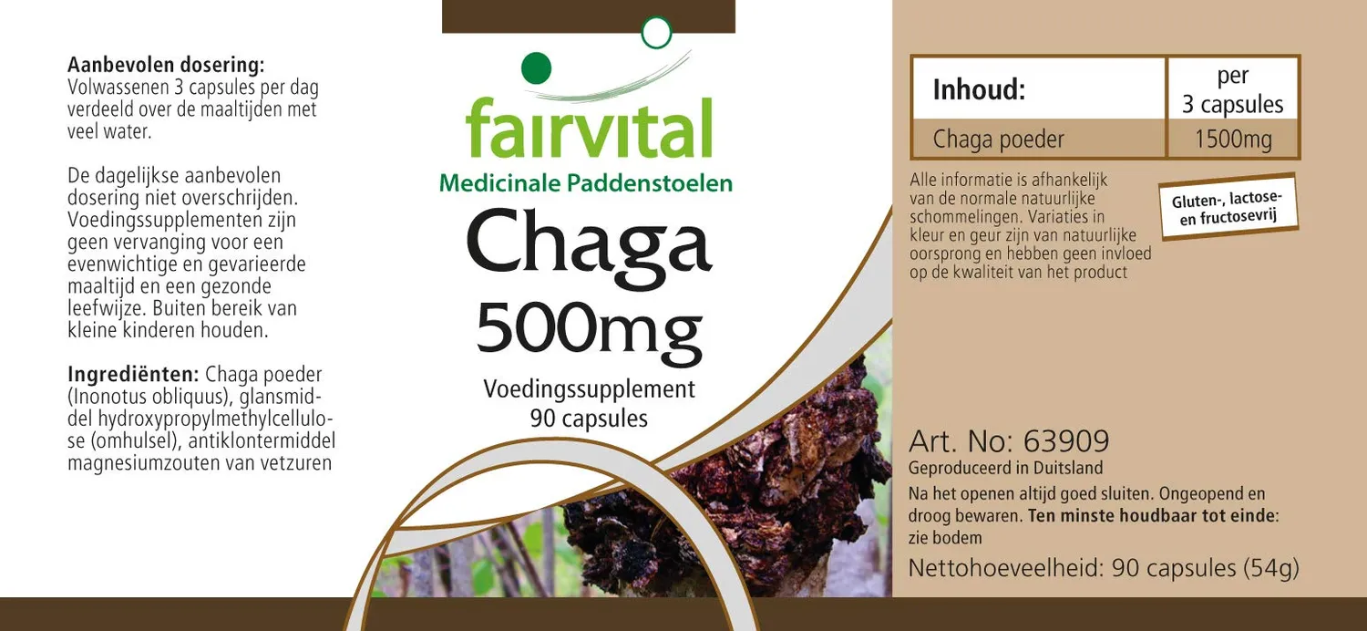 Fairvital Chaga 500 mg capsule 90 capsule vegane