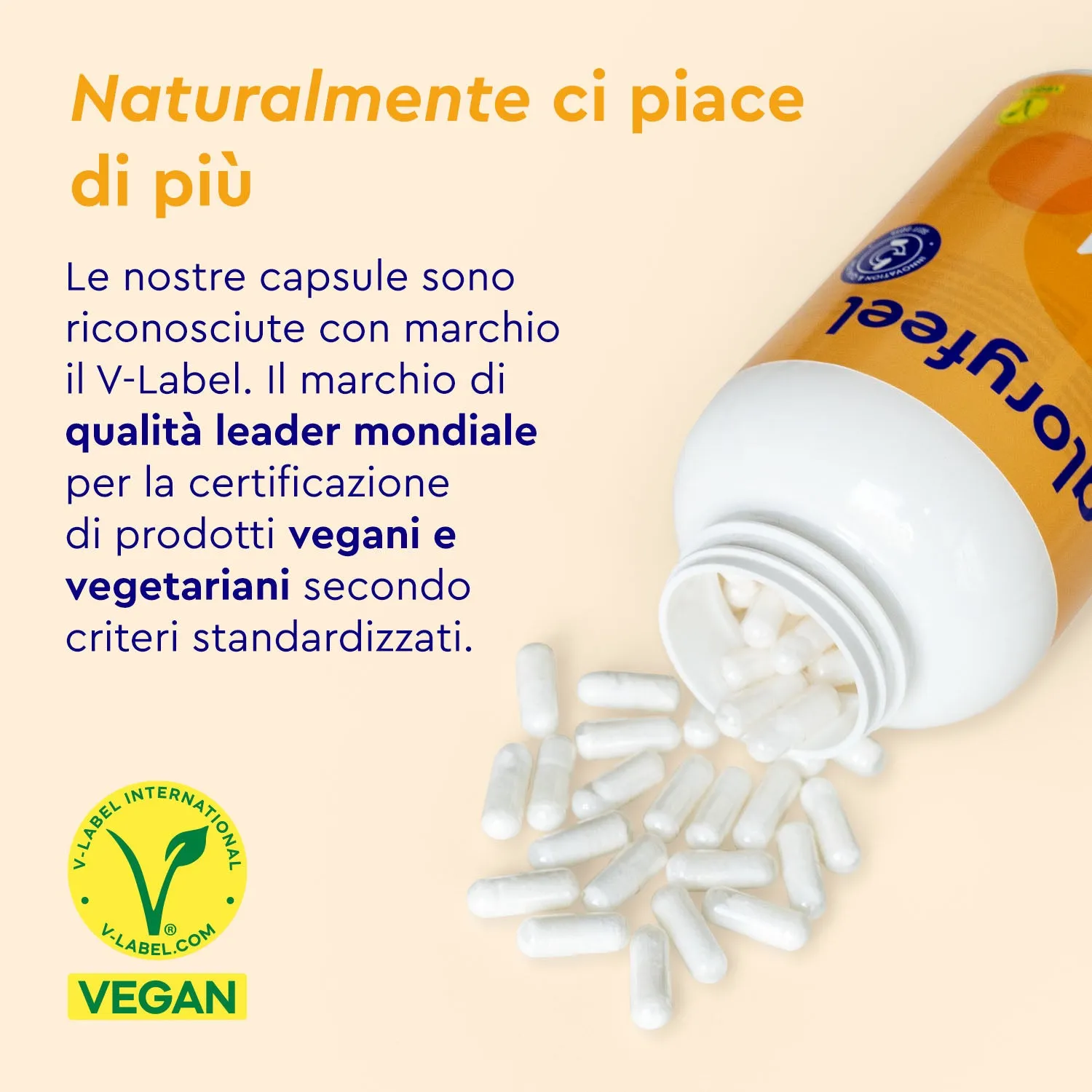 gloryfeel MSM zolfo organico capsule metilsulfonilmetano