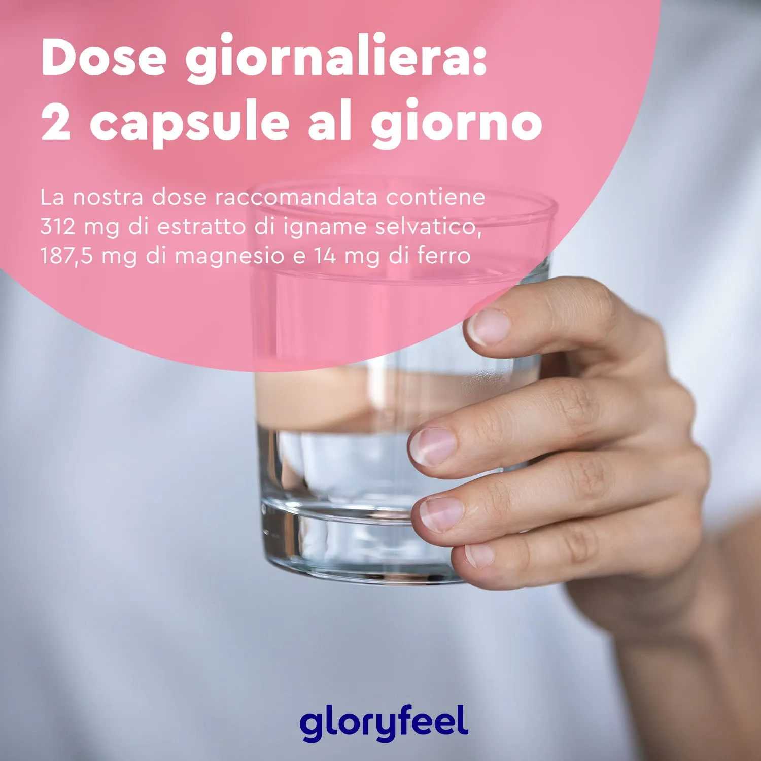gloryfeel Wild Yam capsule igname agnocasto ferro