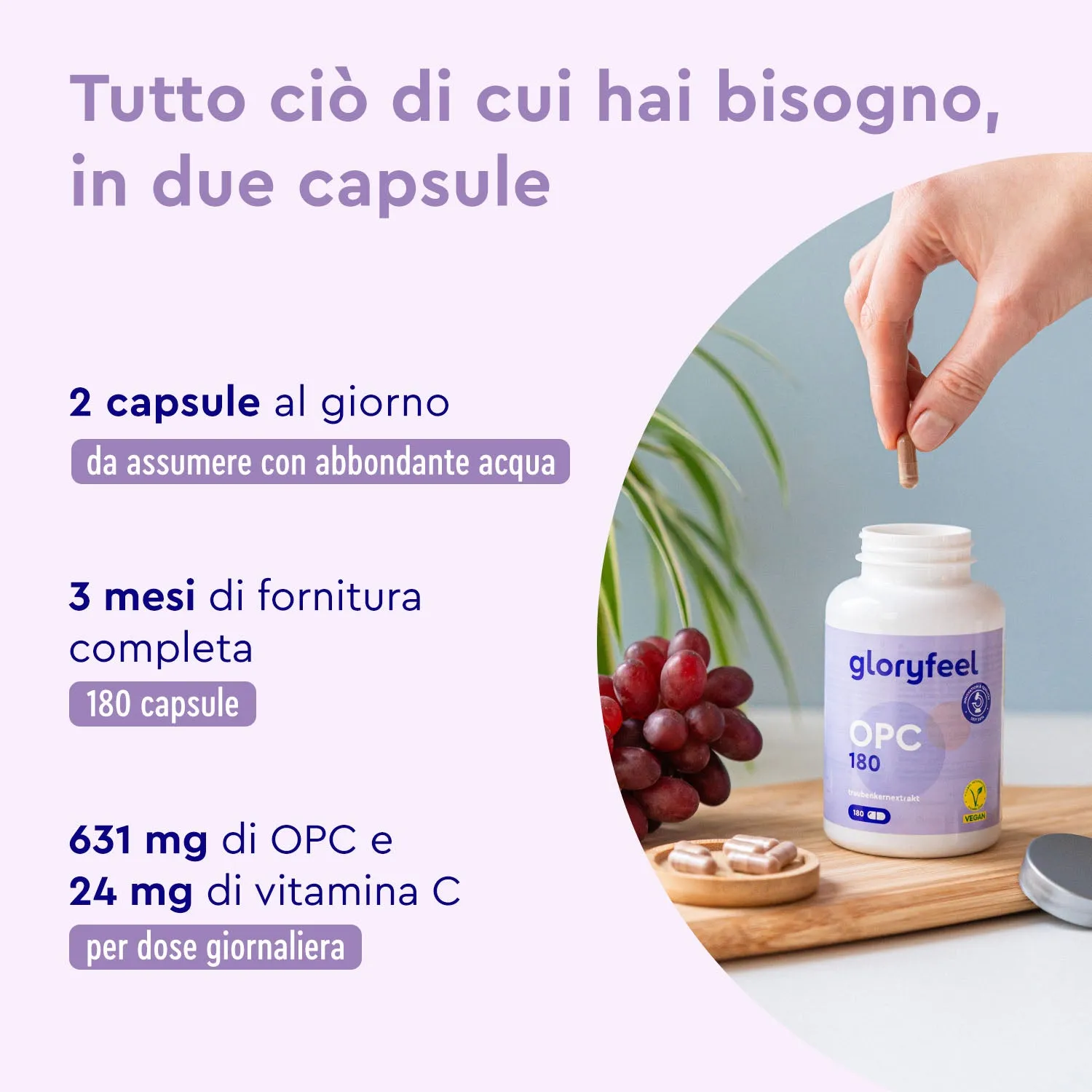 gloryfeel OPC 180 capsule 1000 mg con vitamina C