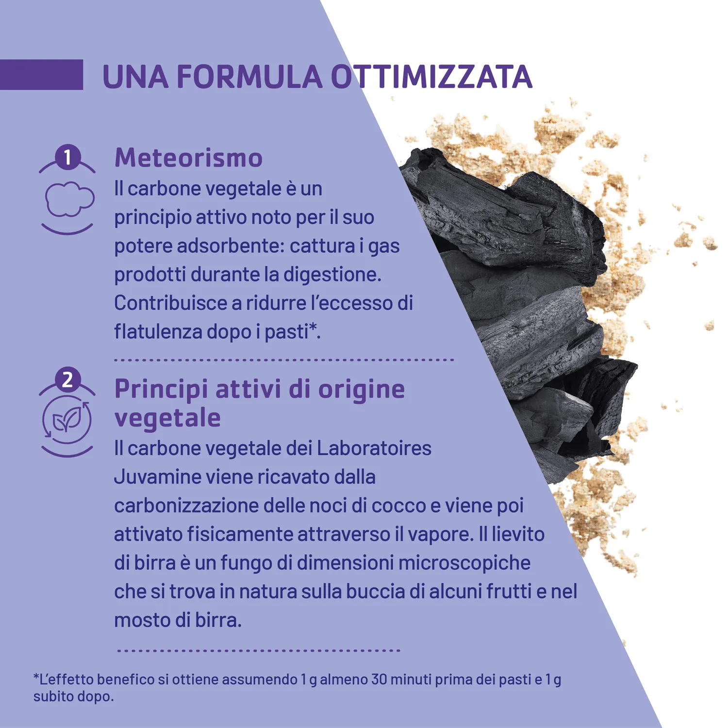 Juvamine Carbone Lievito di Birra Capsule Digestione 2 mesi