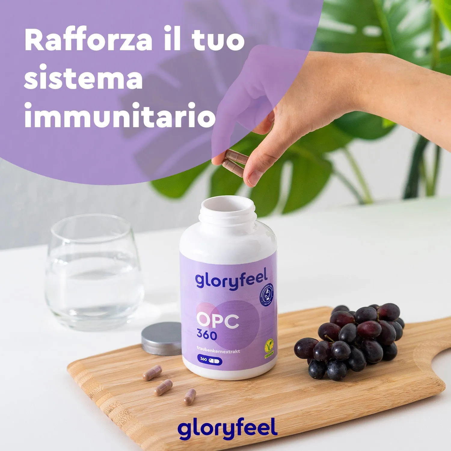 gloryfeel OPC 360 capsule integratore semi d'uva antiossidante