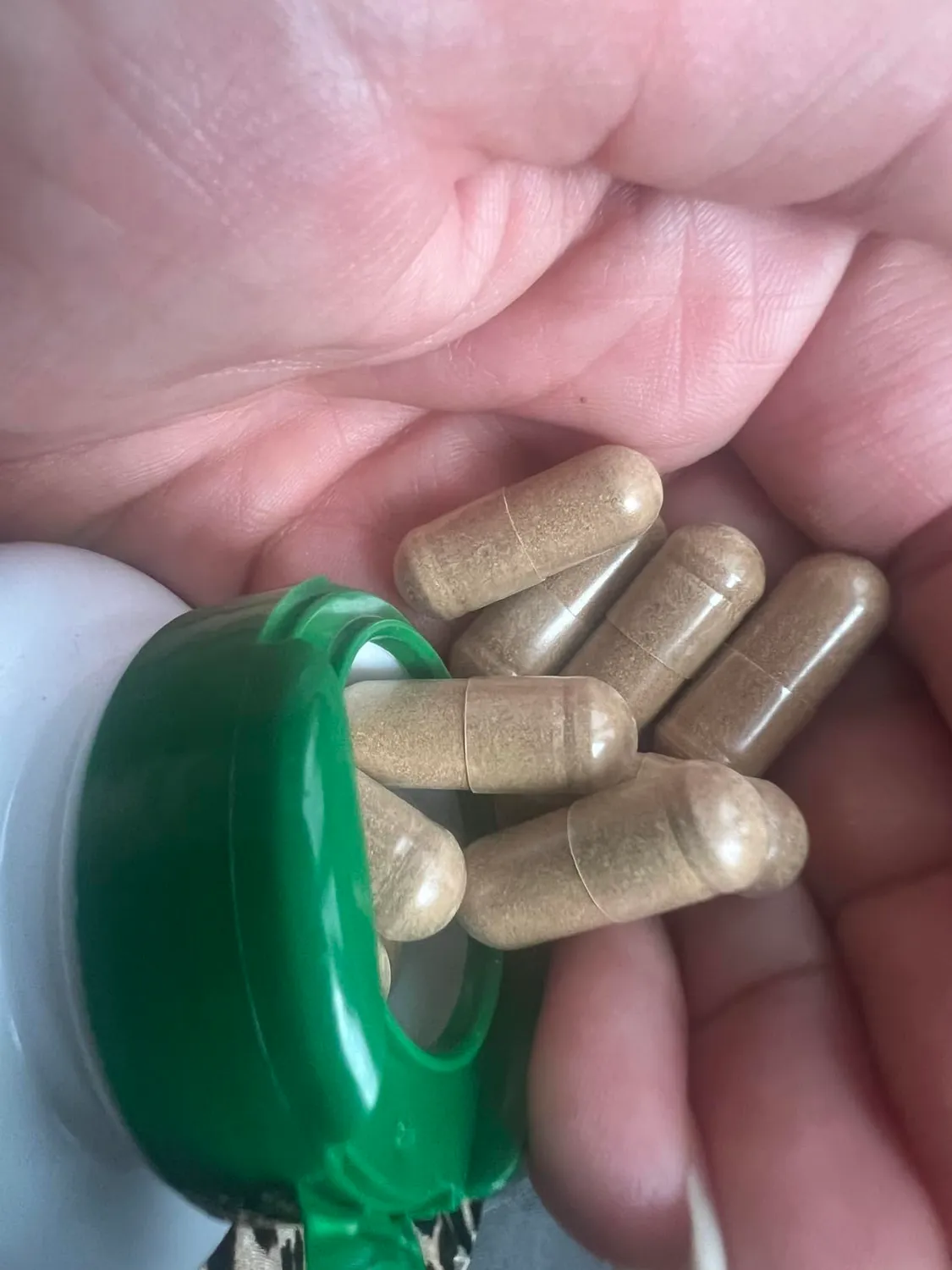 fairvital Desmodium estratto 90 capsule 1500 mg vegano