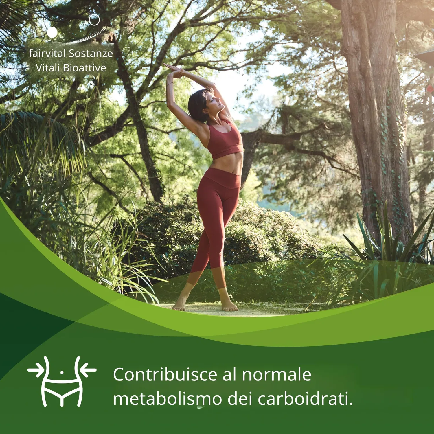Fairvital Berberina 500 mg Capsule 90 con zinco