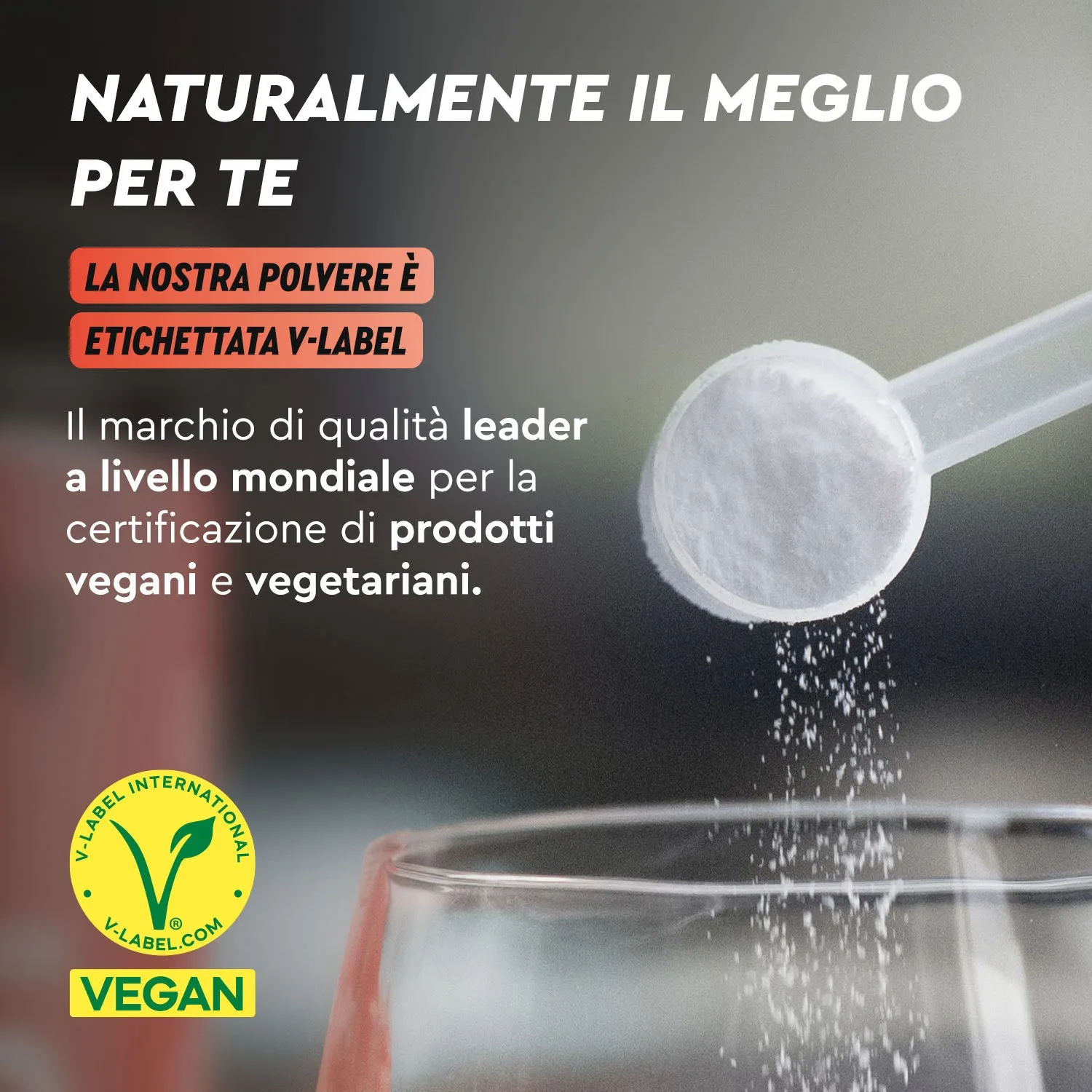 gloryfeel Beta Alanina pura capsule sport senza lattosio