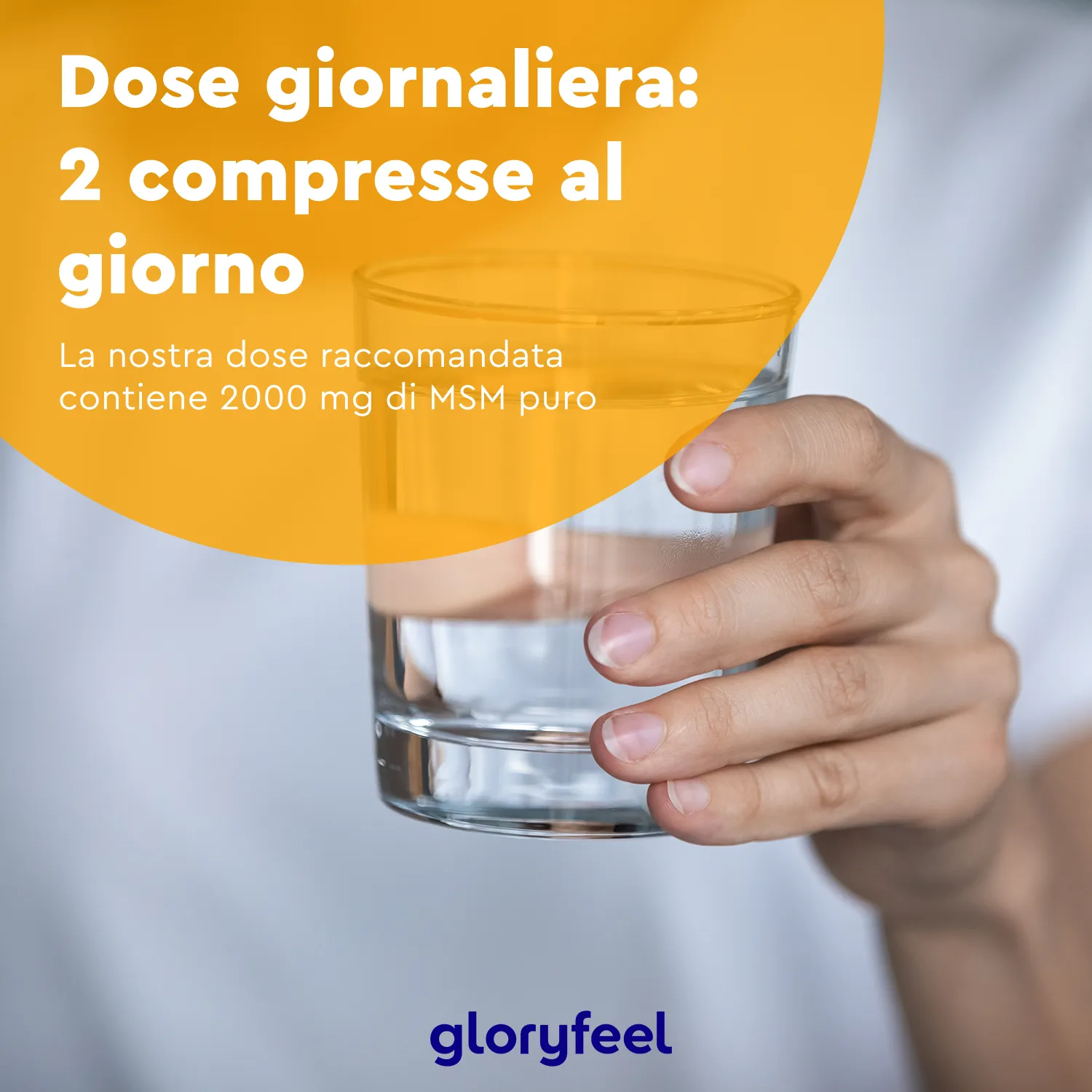 gloryfeel MSM Zolfo compresse 365 con vitamina C