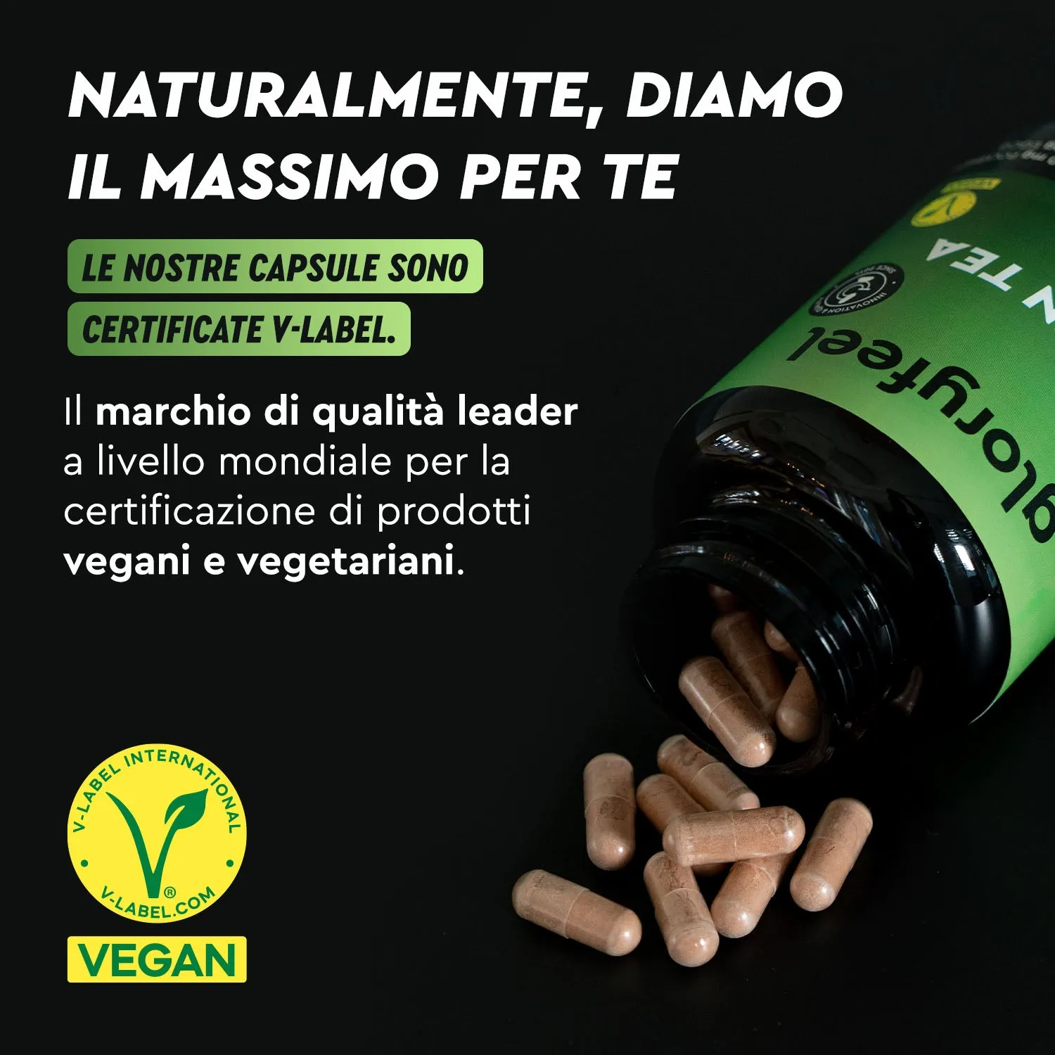 gloryfeel Tè Verde capsule estratto EGCG