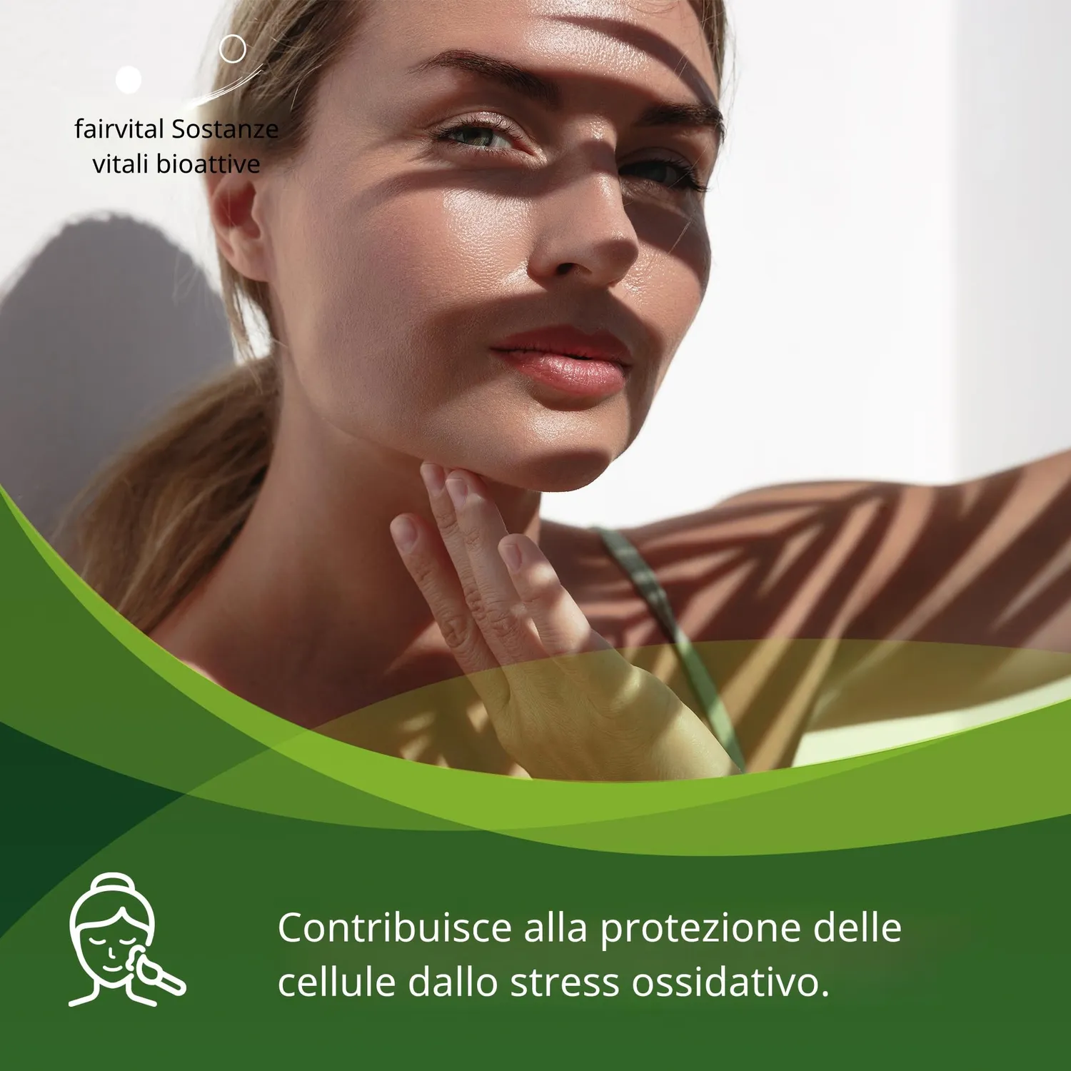 Fairvital Curcuma Zenzero Boswellia + C capsule 90 pezzi
