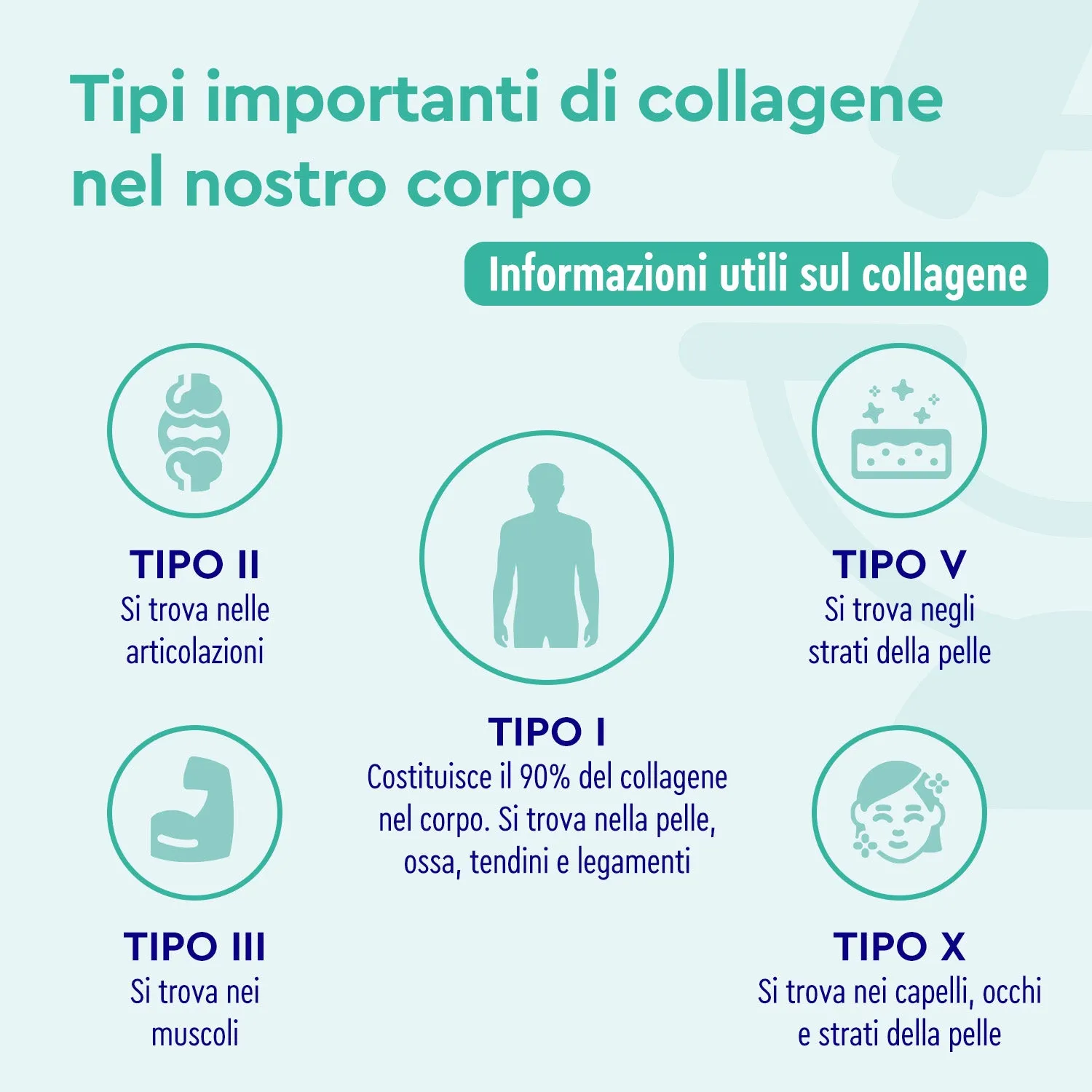gloryfeel Collagene Acido Ialuronico Q10 capsule beauty