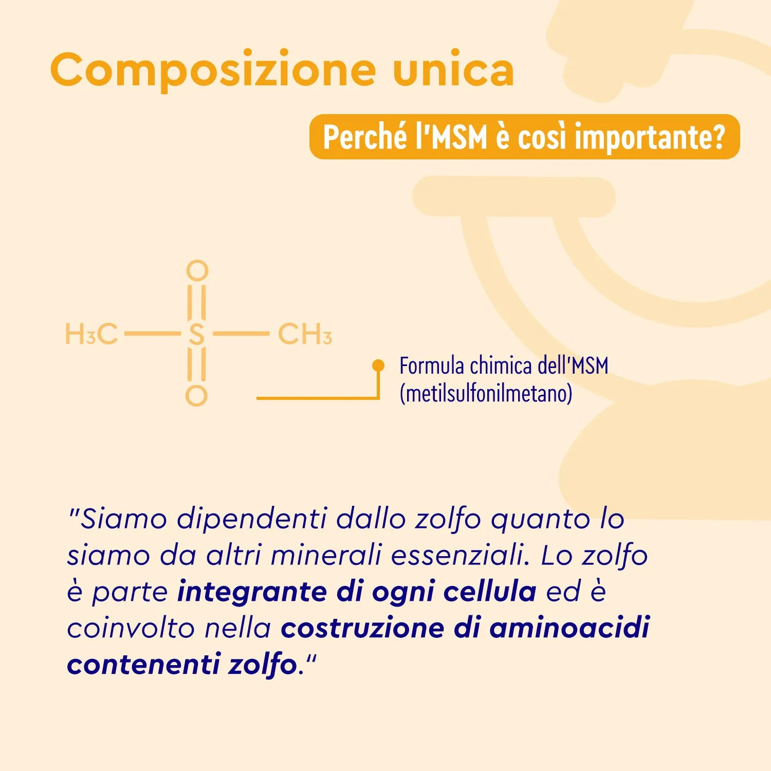gloryfeel MSM zolfo organico capsule metilsulfonilmetano