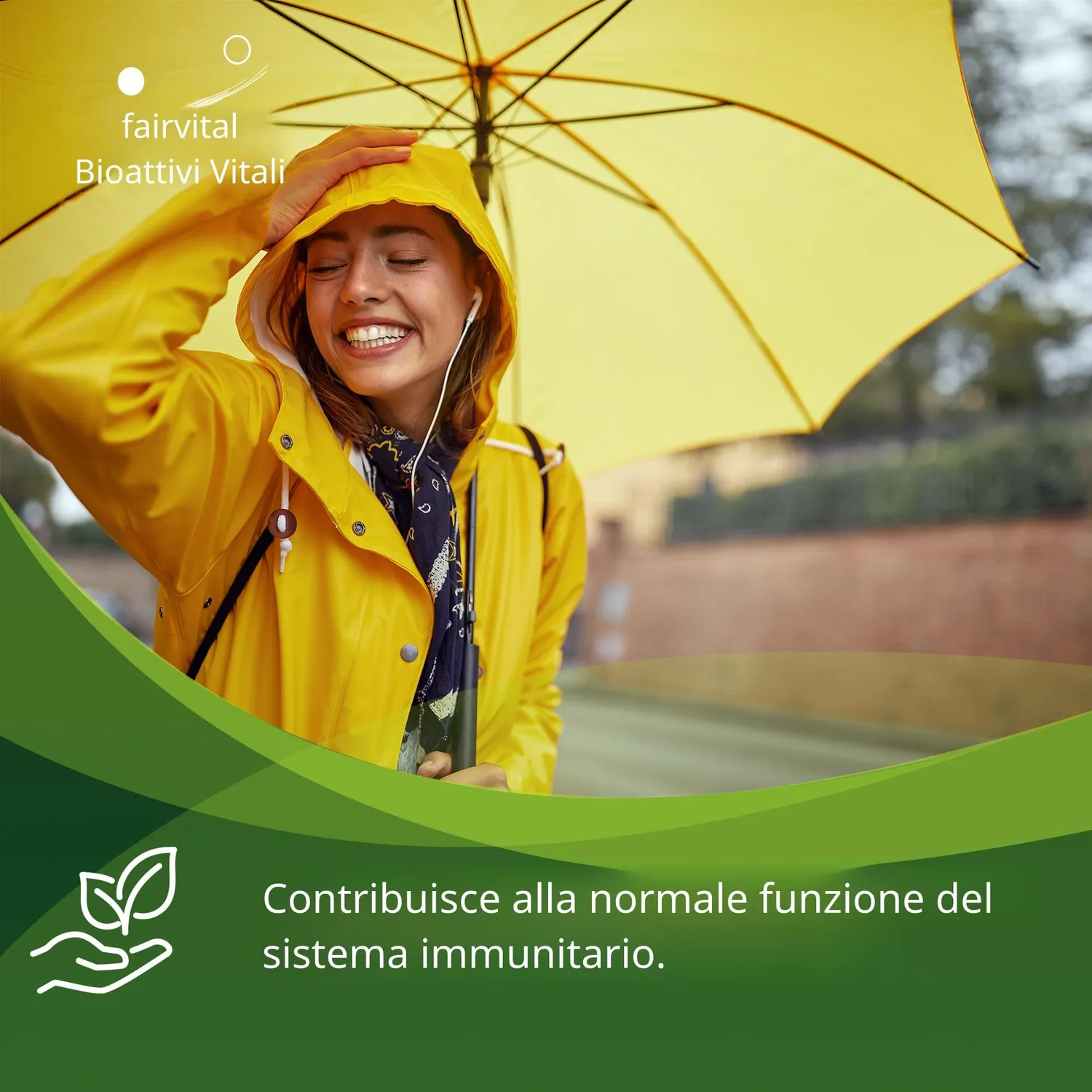 Fairvital Curcuma Zenzero Boswellia + C capsule 90 pezzi