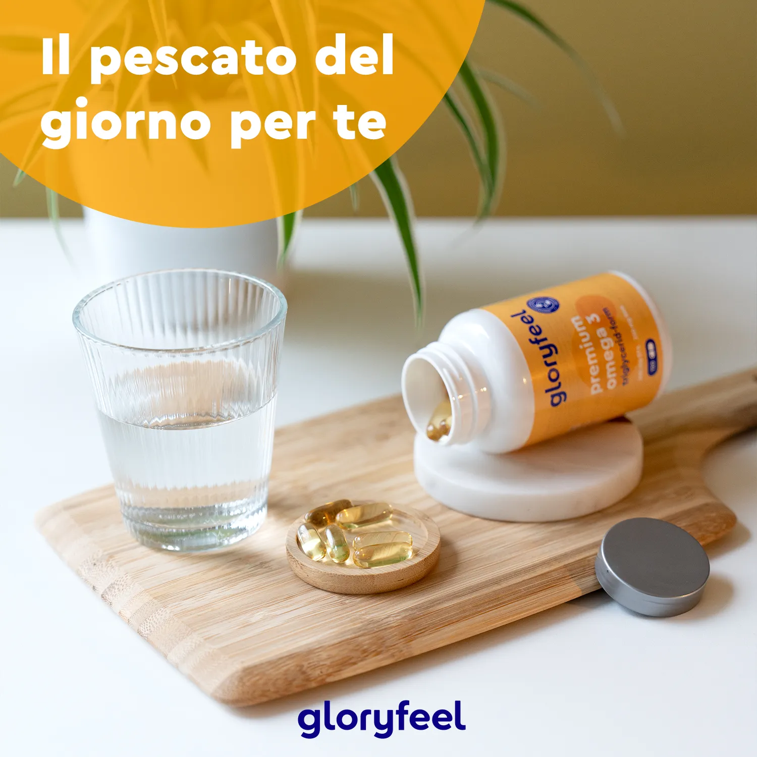 gloryfeel Omega 3 Premium capsule EPA DHA