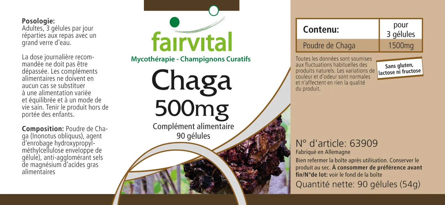 Fairvital Chaga 500 mg capsule 90 capsule vegane