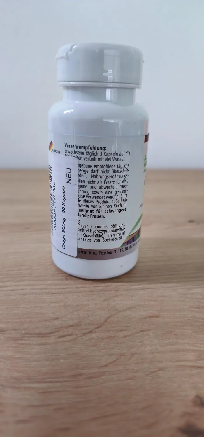 Fairvital Chaga 500 mg capsule 90 capsule vegane