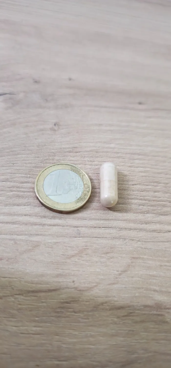 Fairvital Uva Ursi 500 mg capsule 90 pezzi arbutina