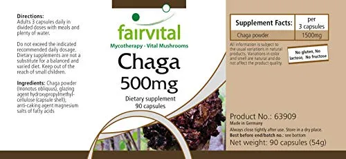 Fairvital Chaga 500 mg capsule 90 capsule vegane